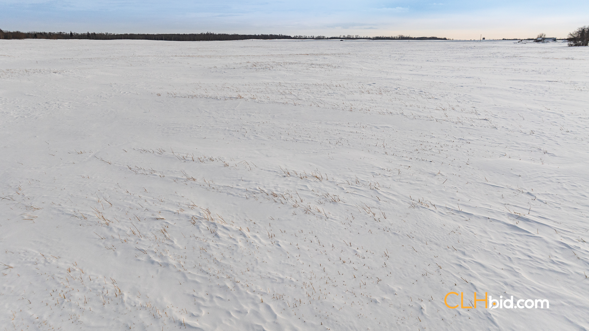 Web-LamontTopGrade-52