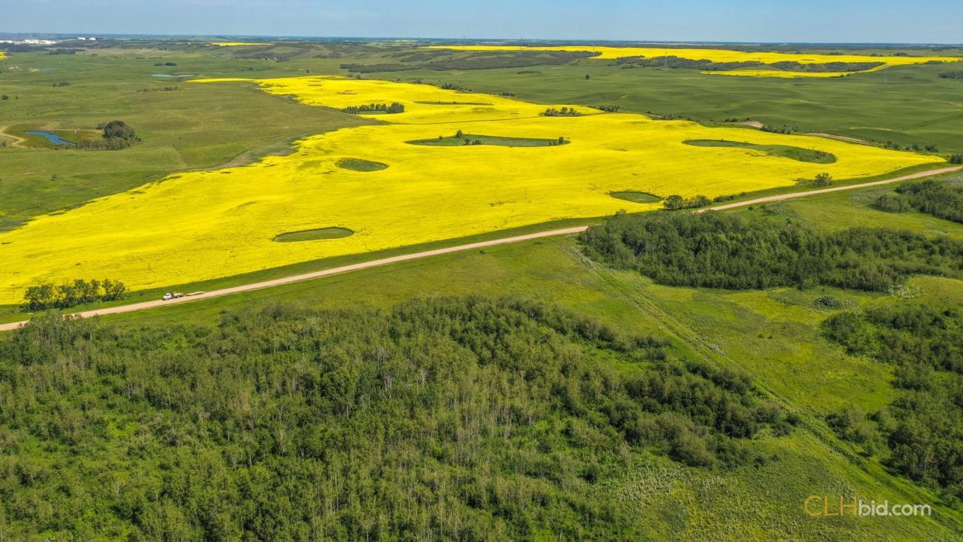 lazyadiamondranch-1-4