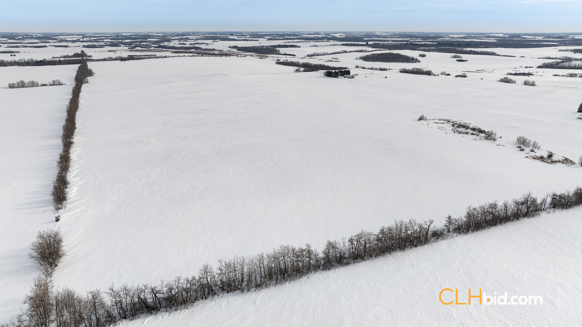 Web-LamontTopGrade-6