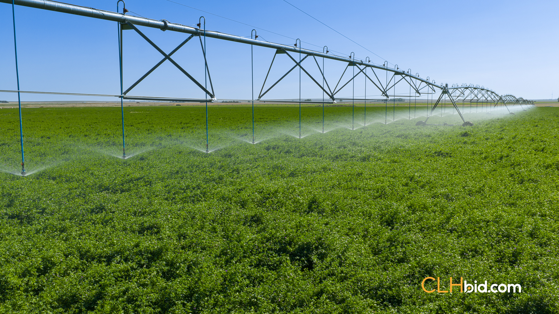 Web-MegaFortyMile-21