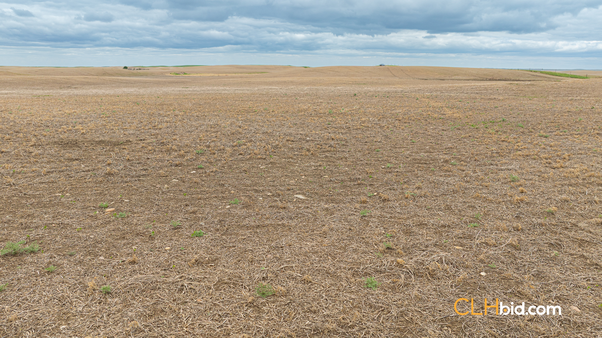 Web-LegacyMoveNEW-62