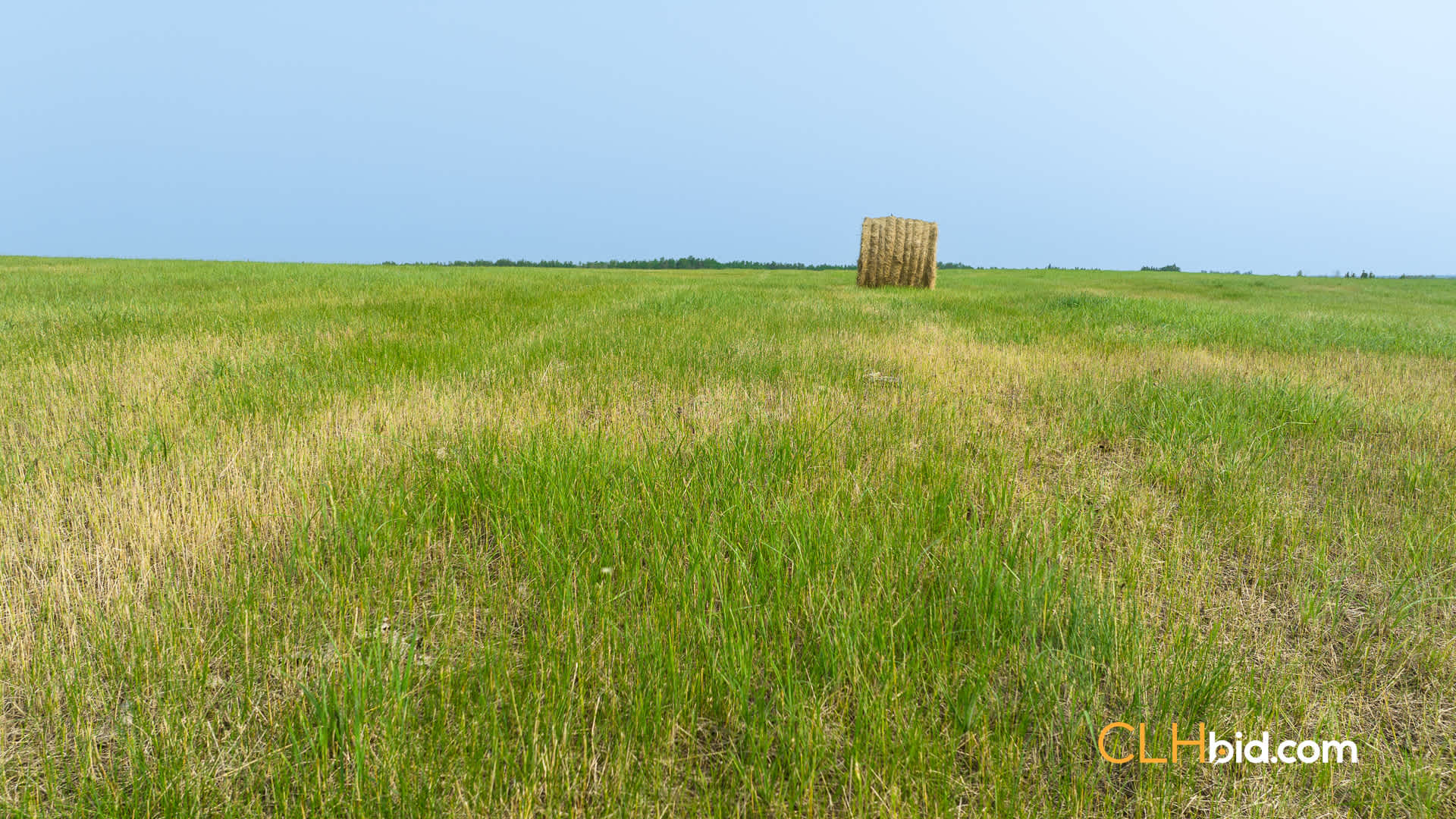 Web-SmokyRanch-29