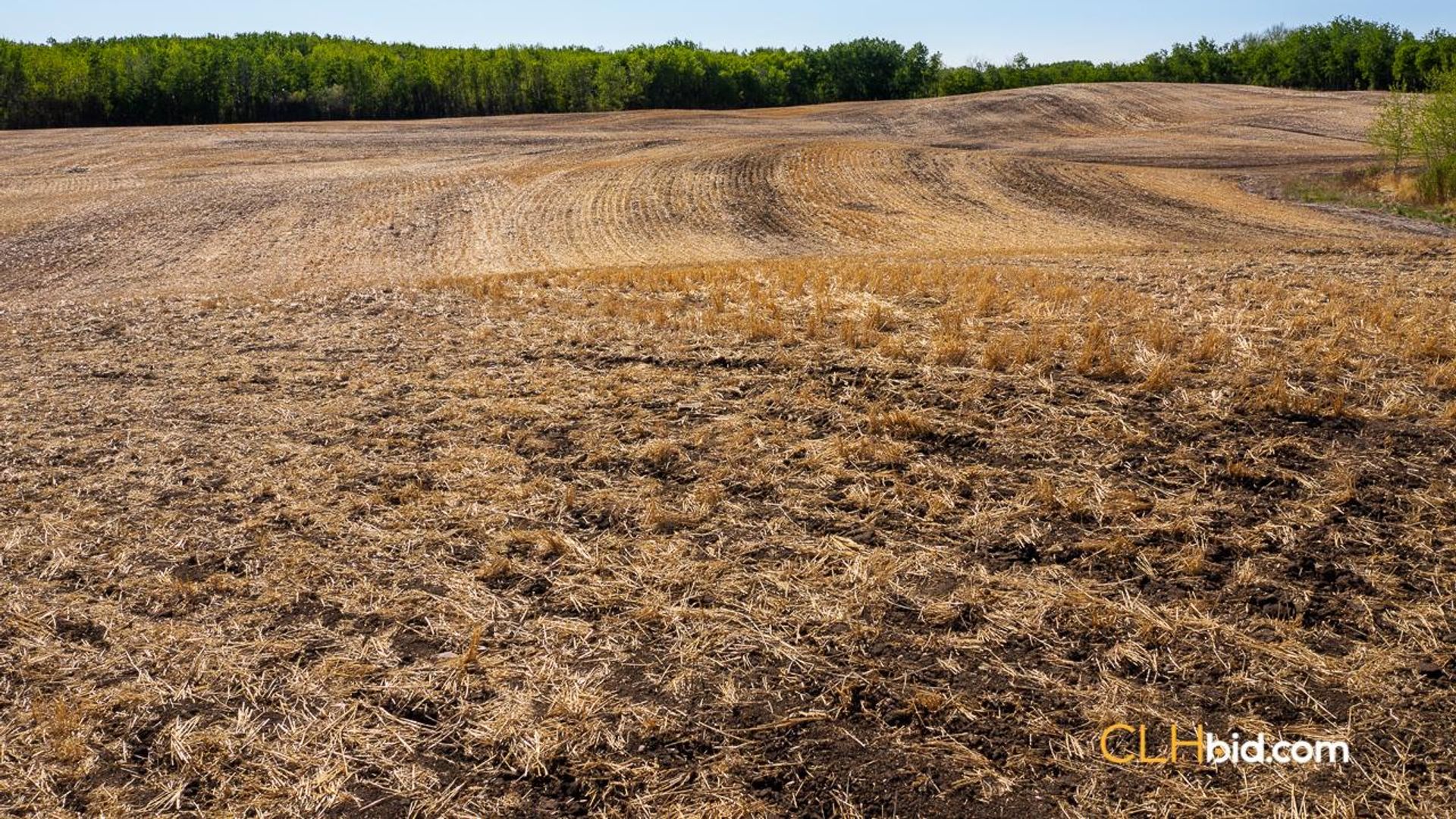 twohillsthreeopportunities-3-6