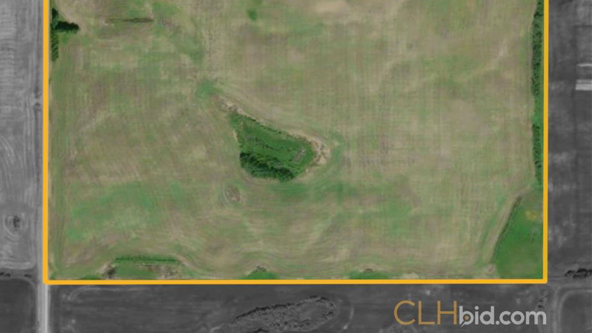 clandonaldcountrycousins-2-11