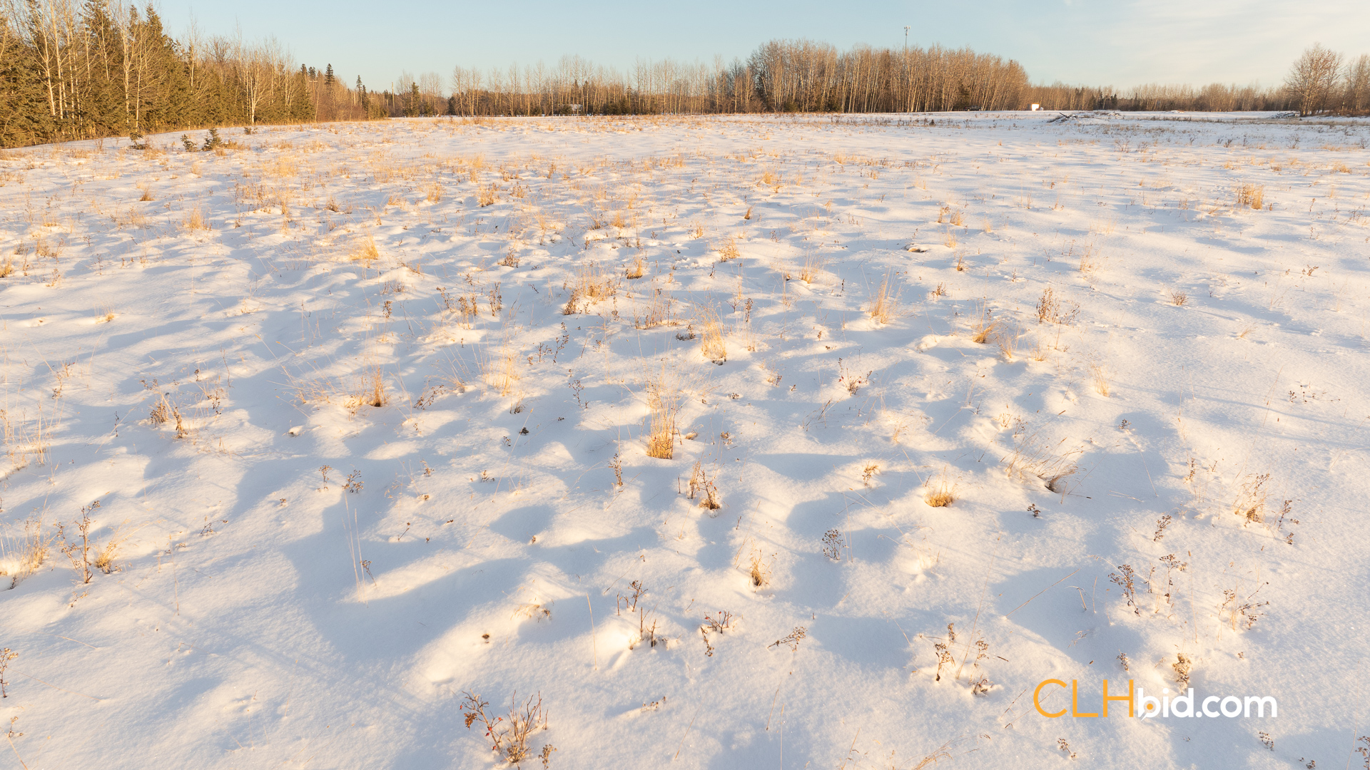 Web169-AcresOfPedigree-10