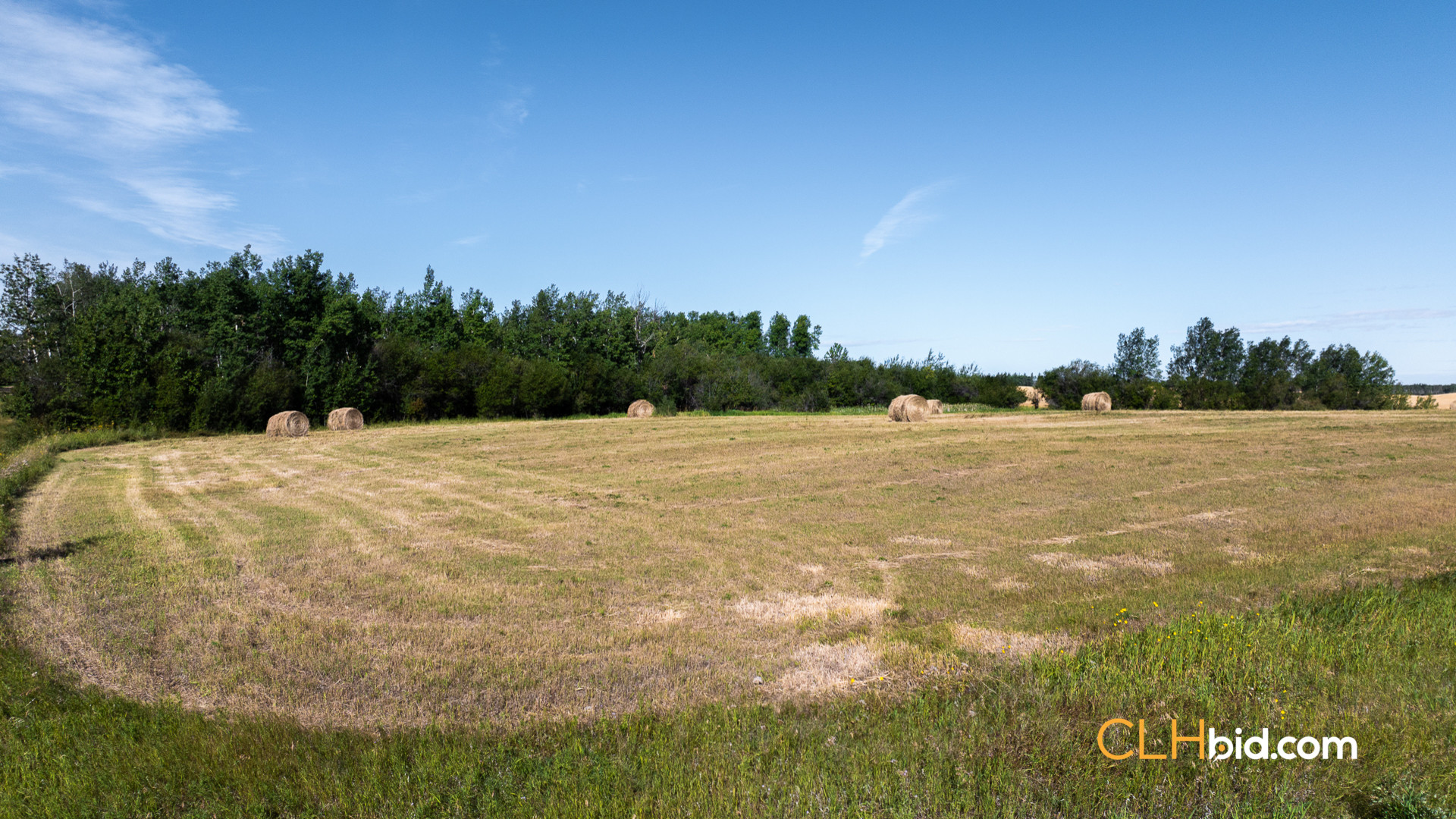 Web Veteran Legacy-15