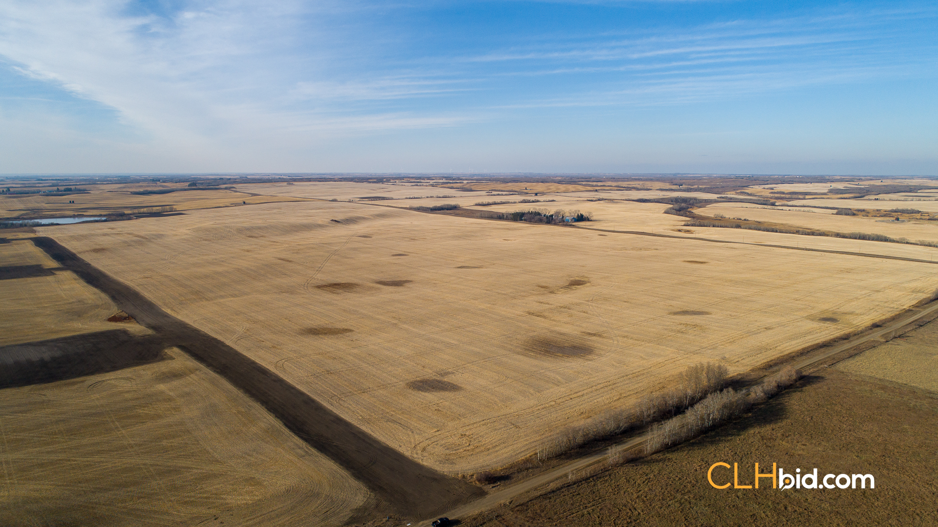 Web-Nine-Of-Diamonds-1