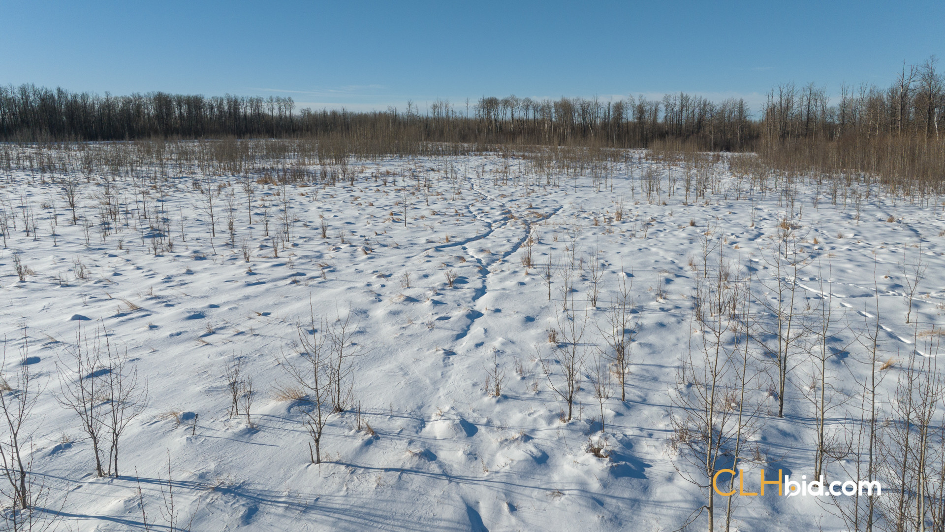 SummerCowCamp-WebWide-7