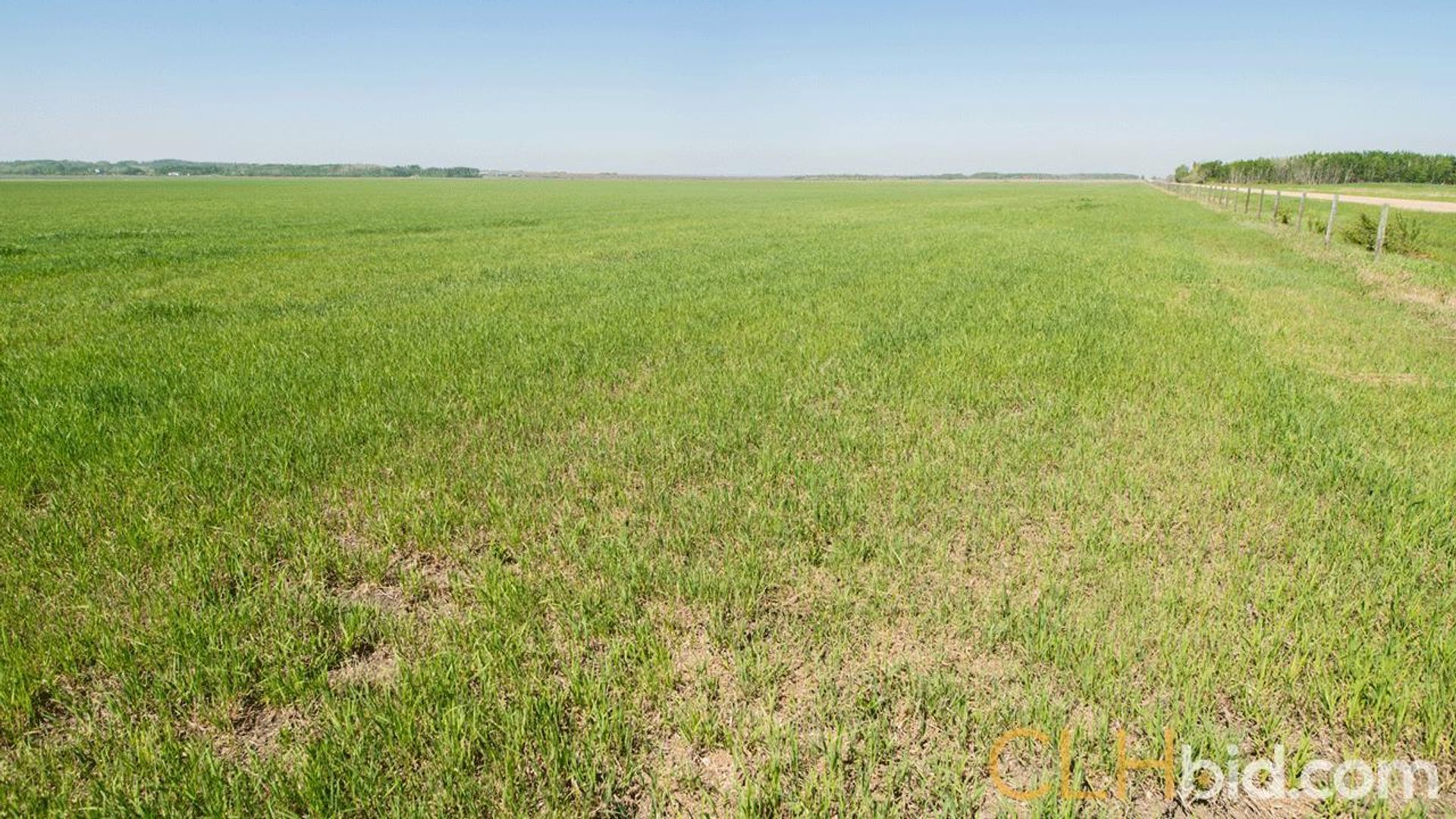 kleskunhillsranchmartineaufarms-3-2