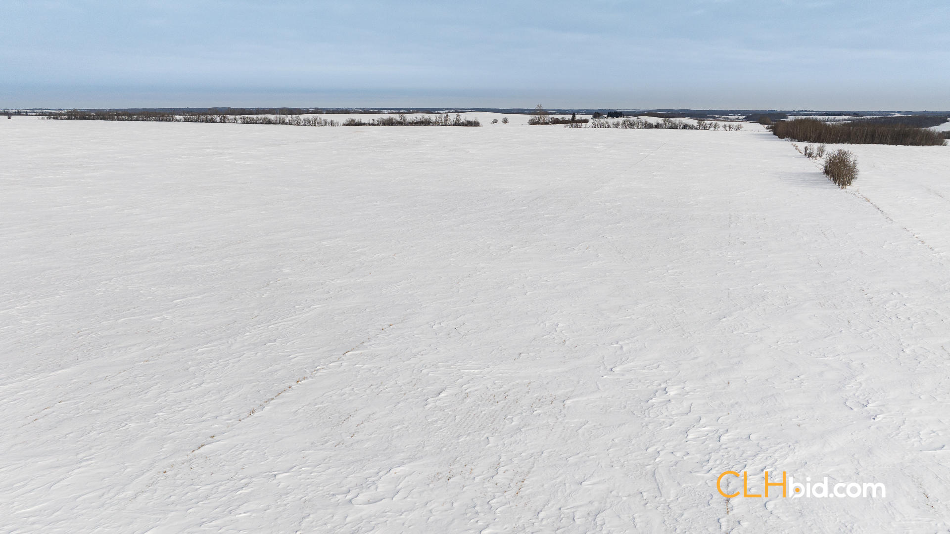 Web-LamontTopGrade-16