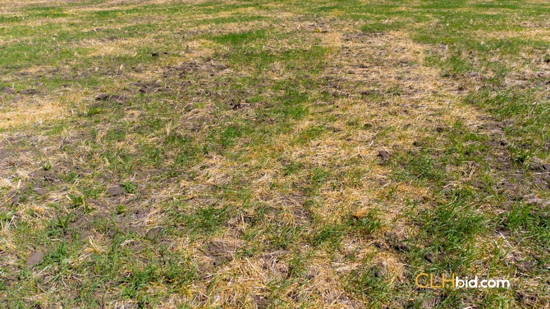 thelongmilevegreville-1-3