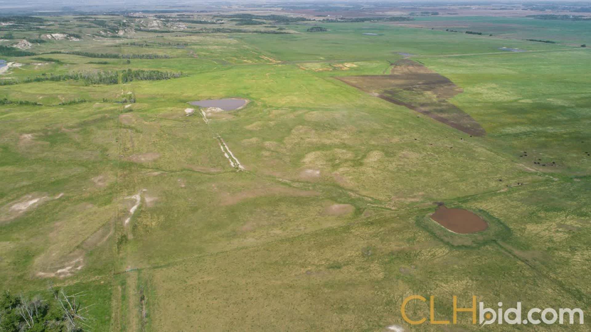 kleskunhillsranchmartineaufarms-6-1