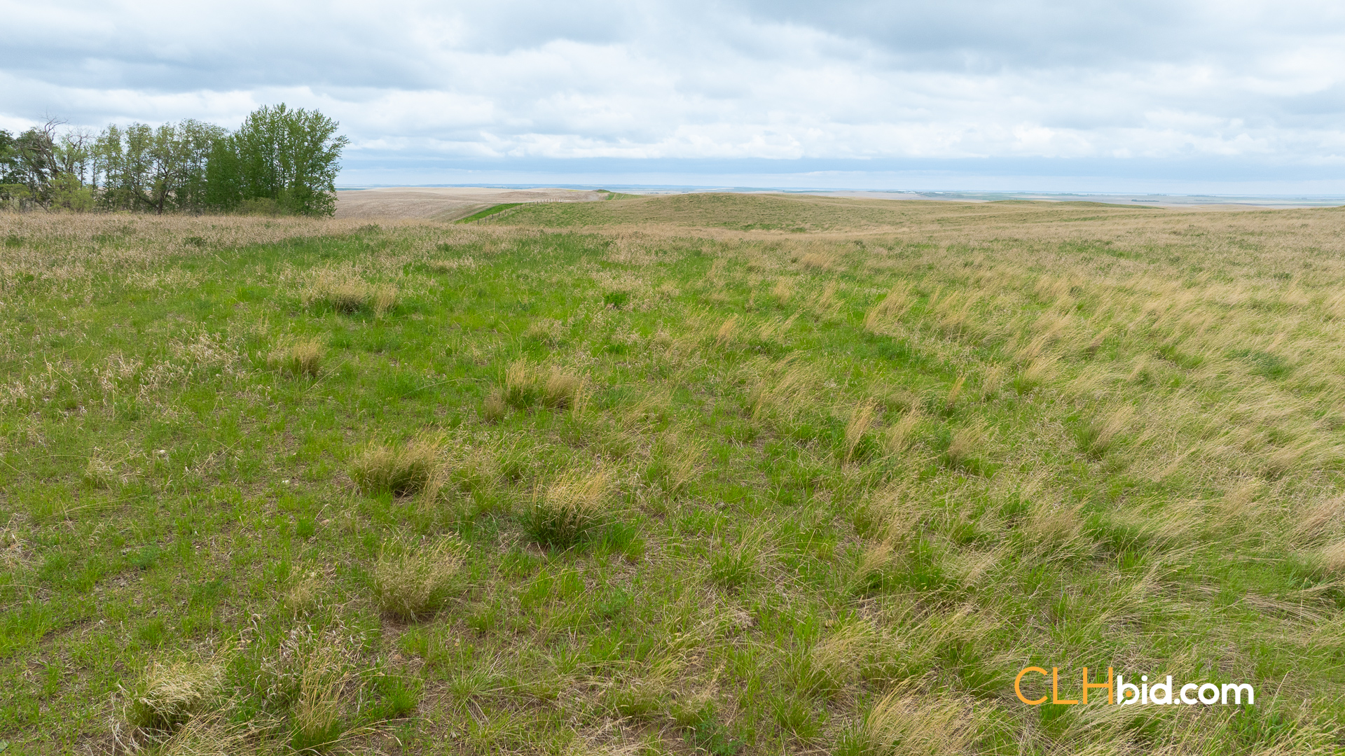 Web-LegacyMoveNEW-12