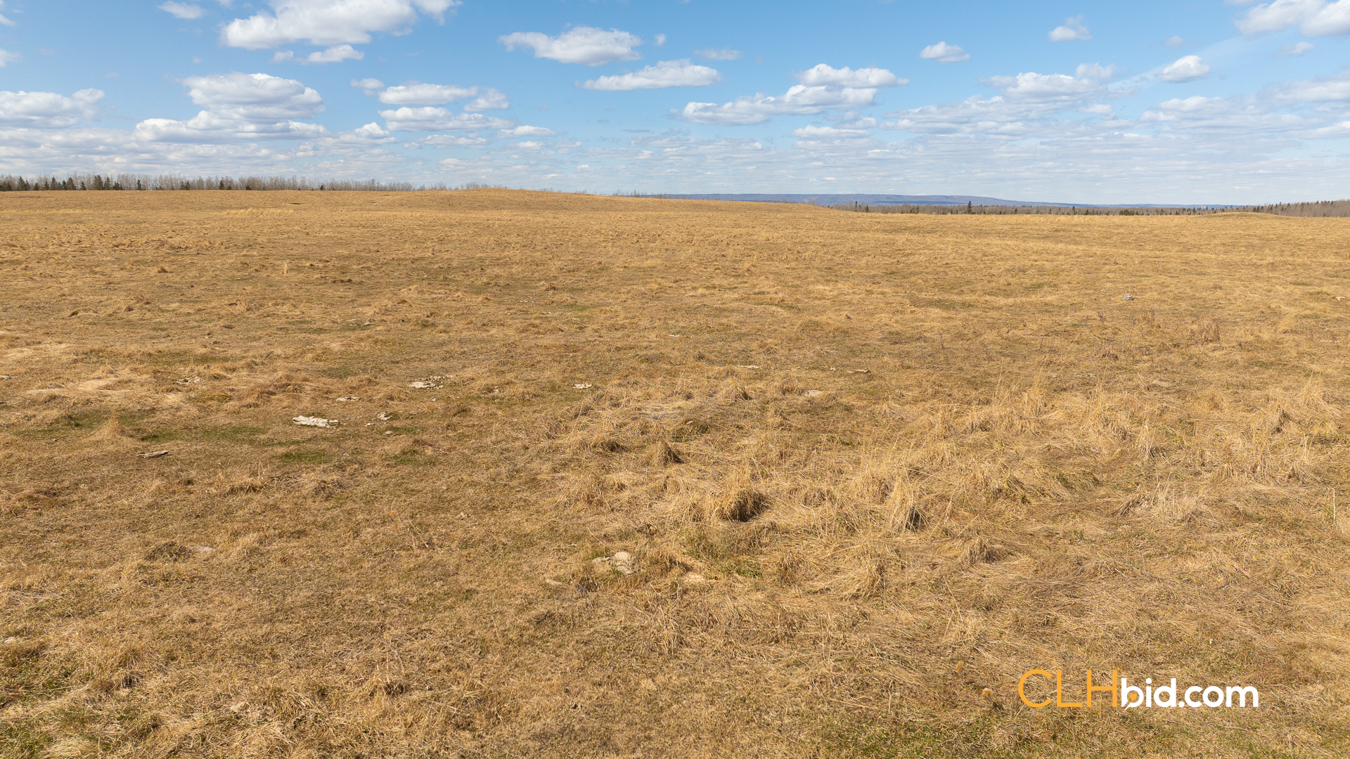 Web-GrazingGroundsNEW-11