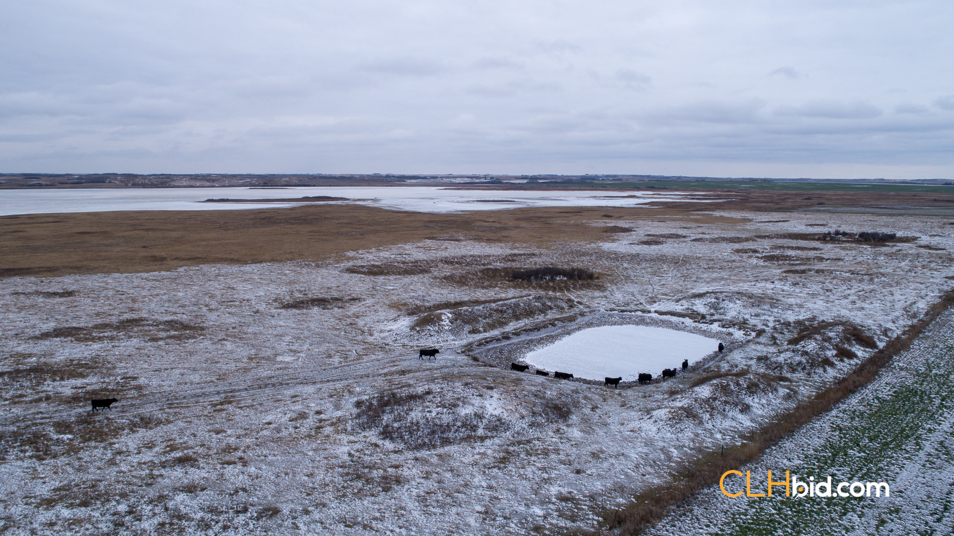 Web-Burke-Lake-Bonanza-18