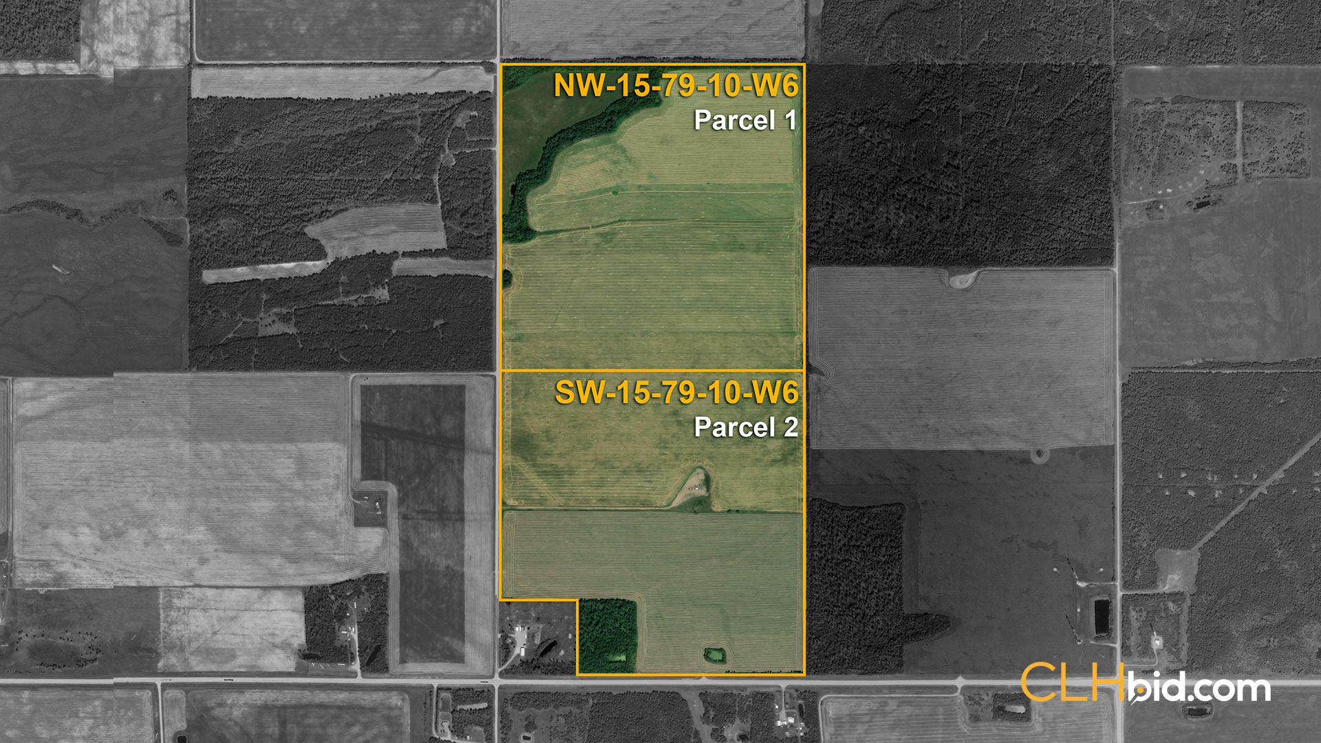 Big Grass On 49 OVERVIEW