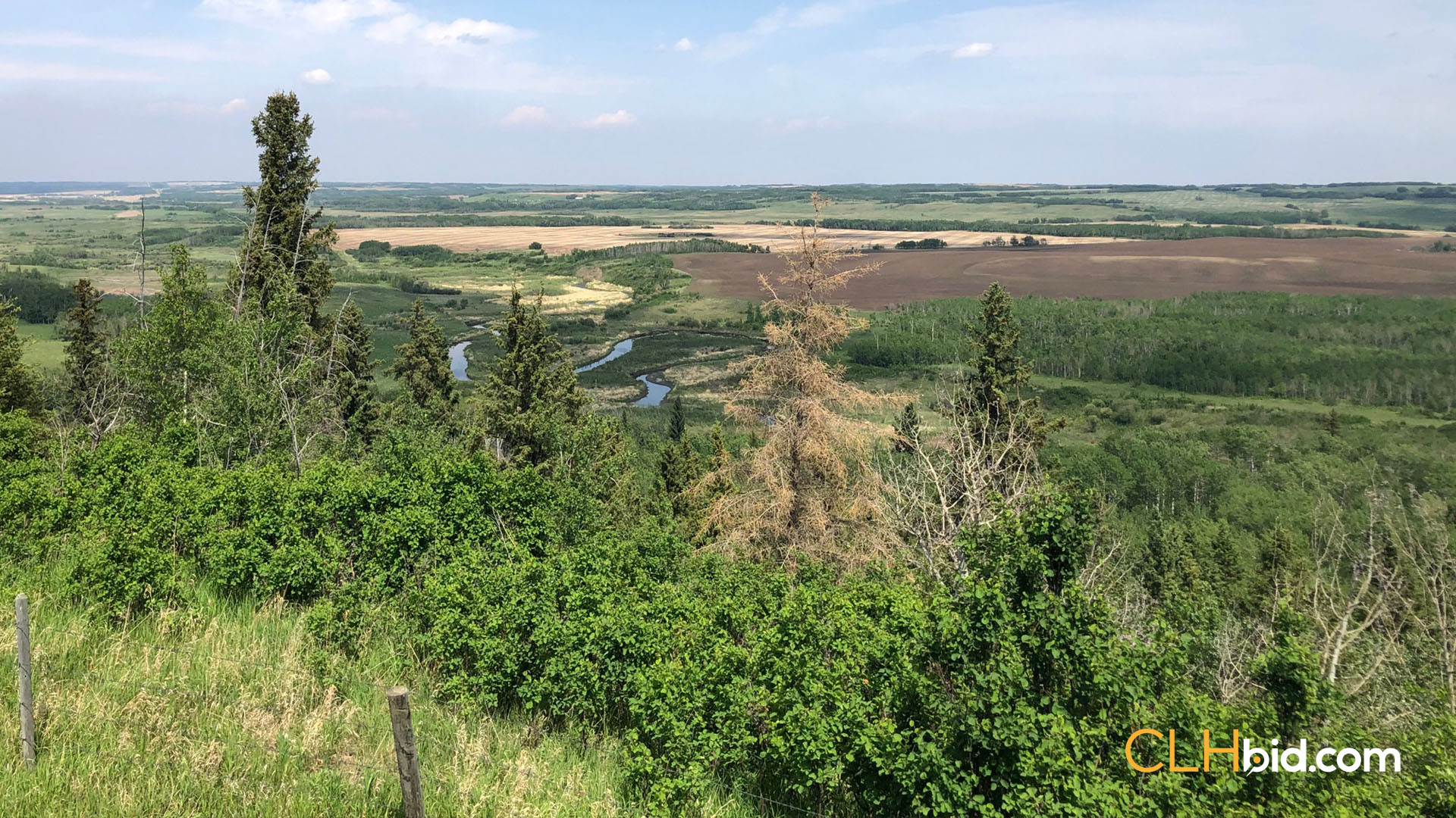 Jeremy 0687 - WIDE - Contentful