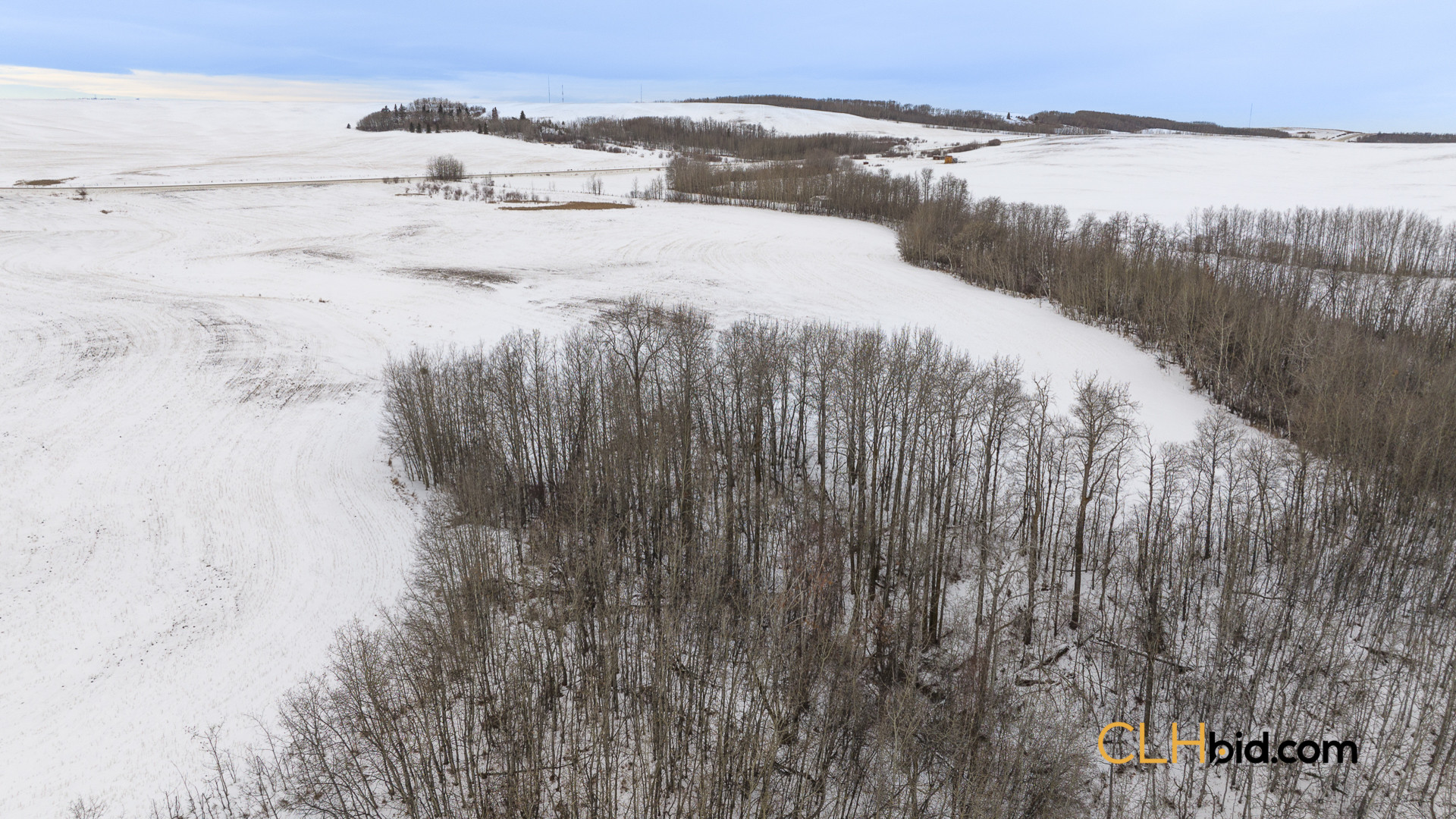 EliteStatus3-Web169-10