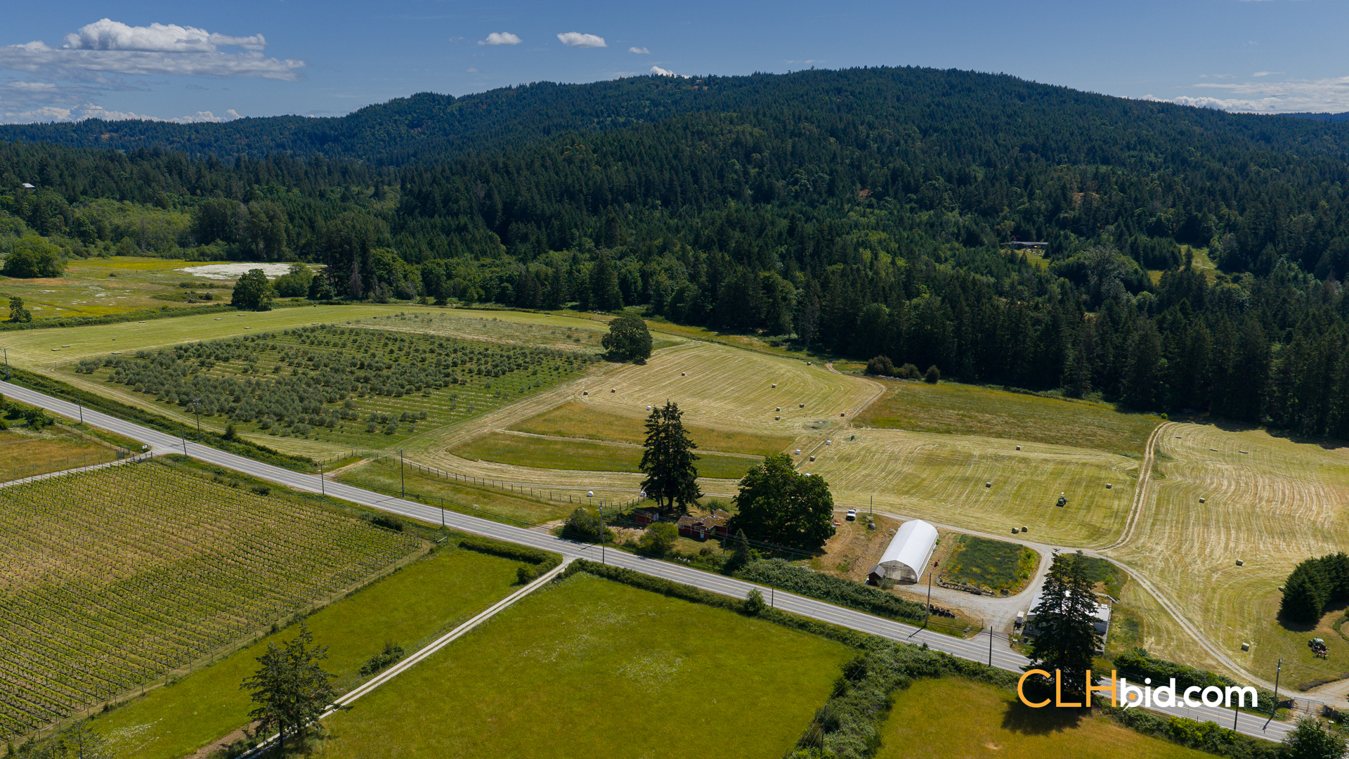 Web-OliveFarmLandNew-22