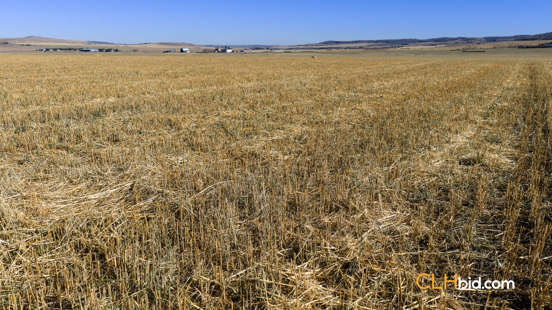 Web-Foothills-30
