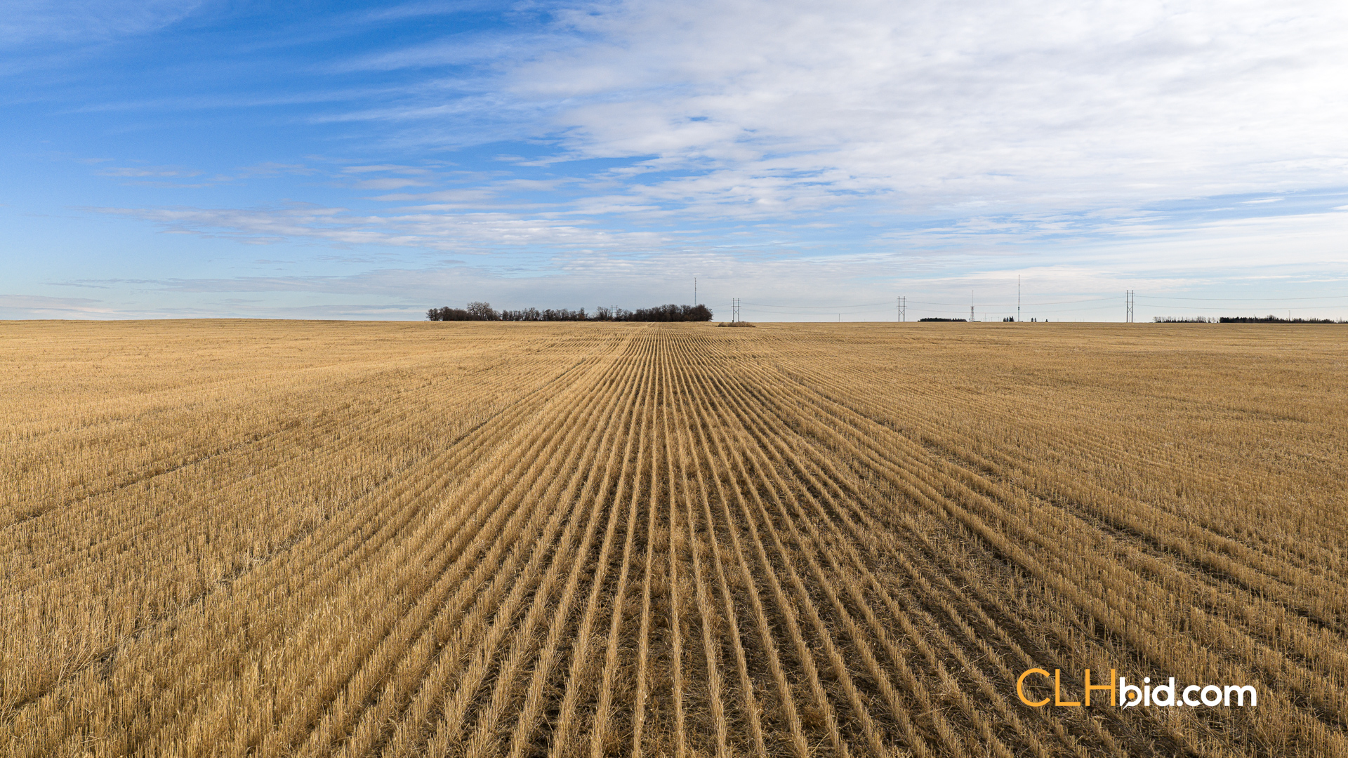 View from above of The Swift Collection