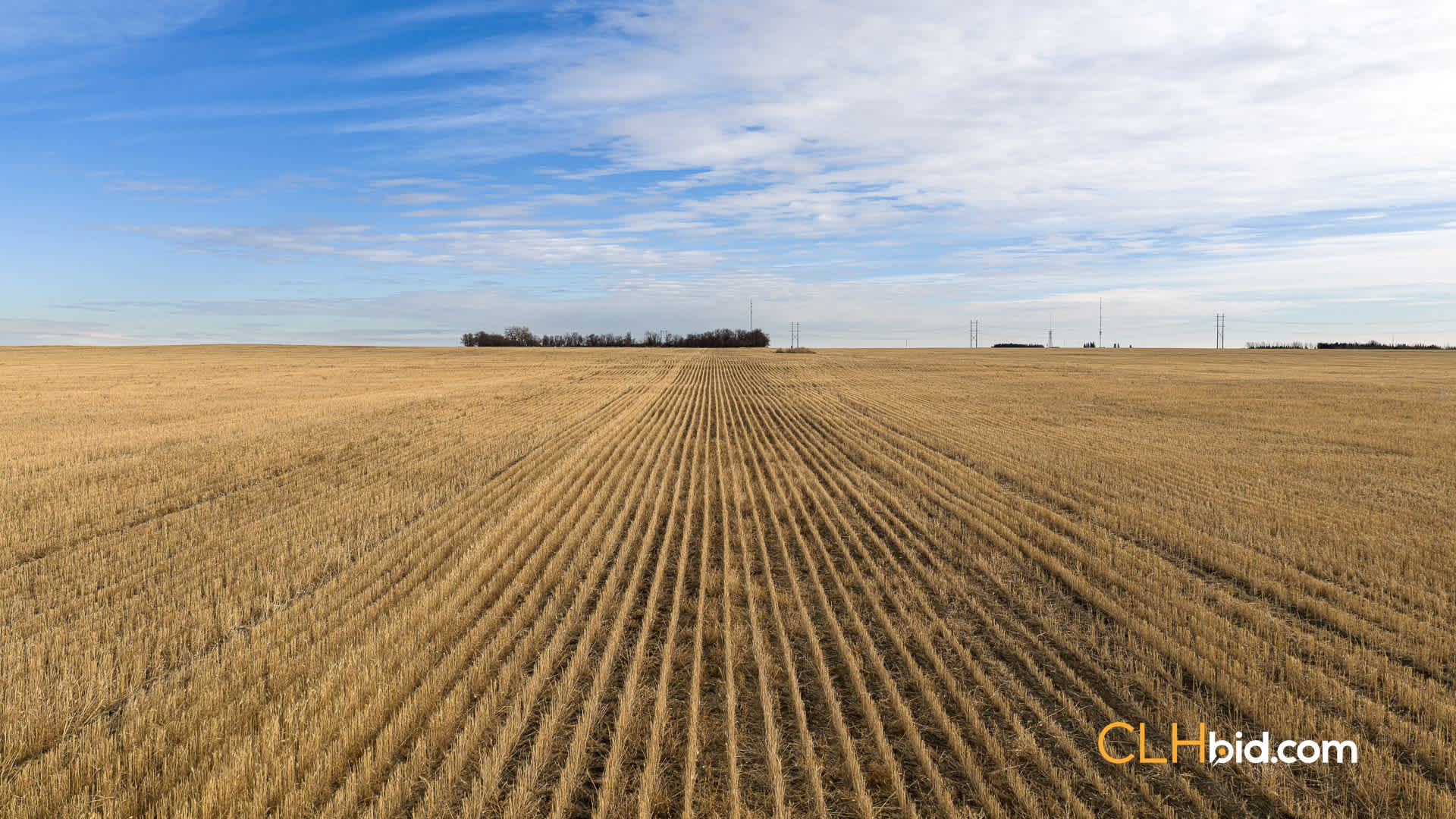 View from above of The Swift Collection