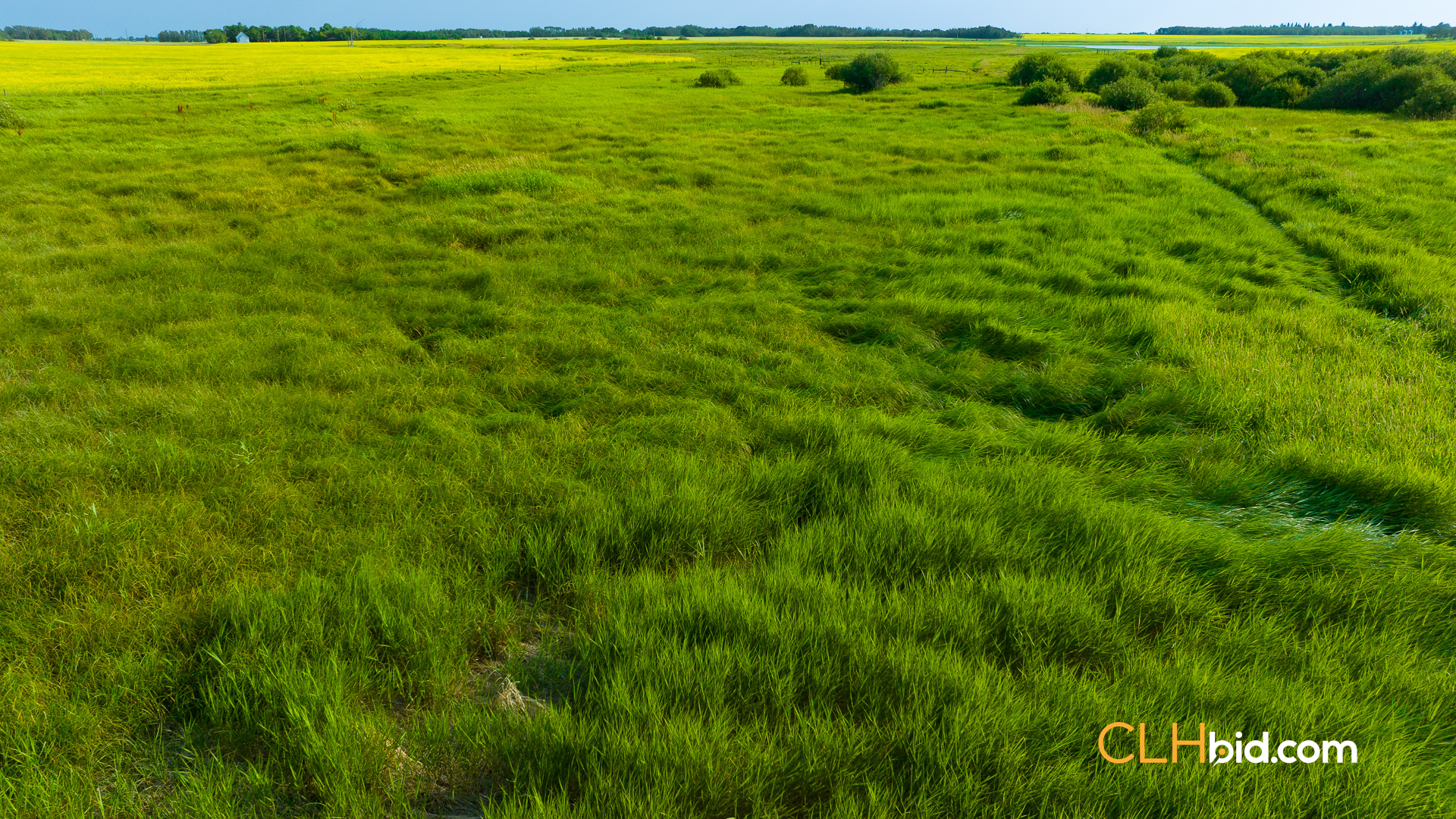 Web-CamroseDouble-10