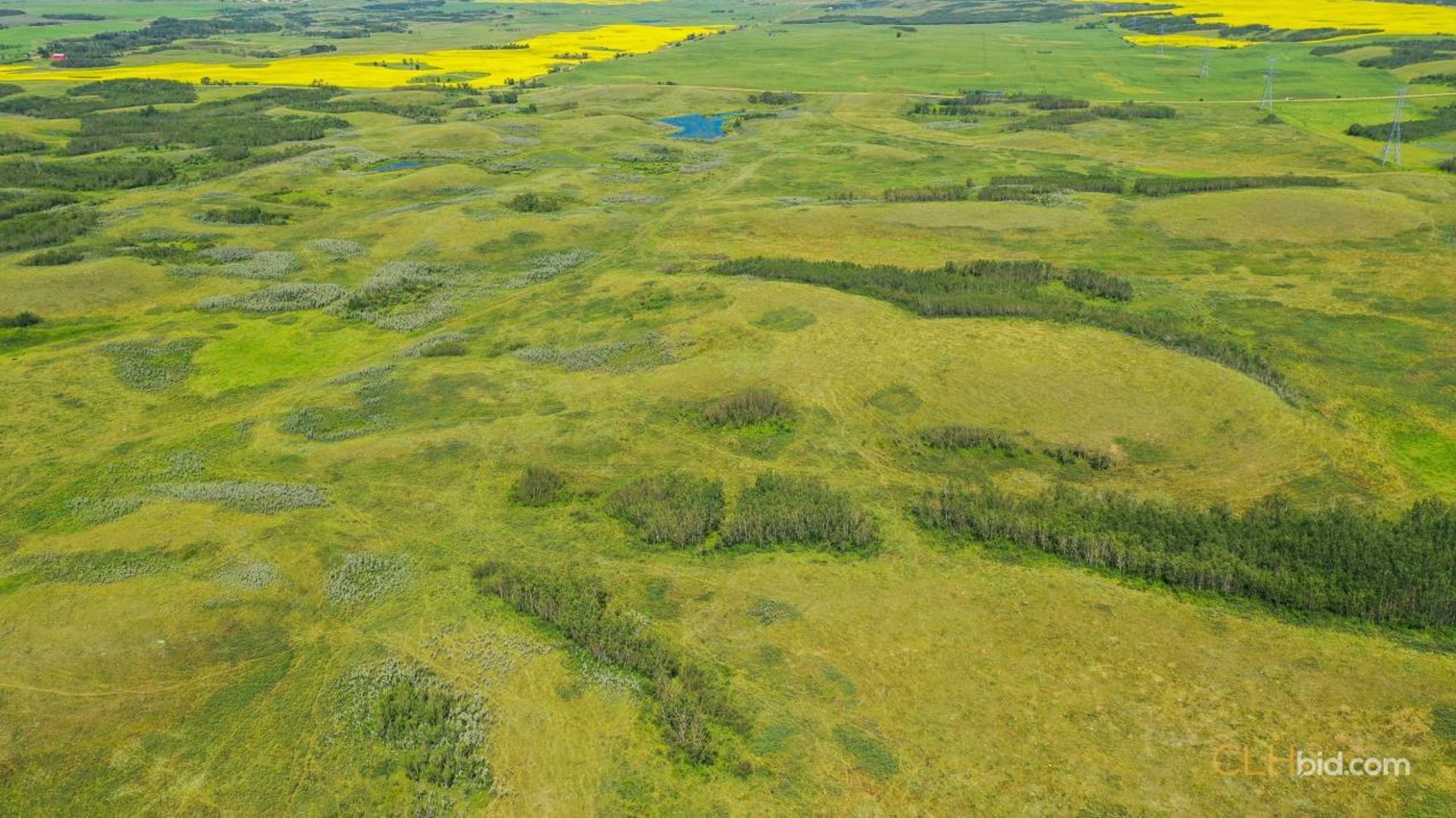 lazyadiamondranch-3-2