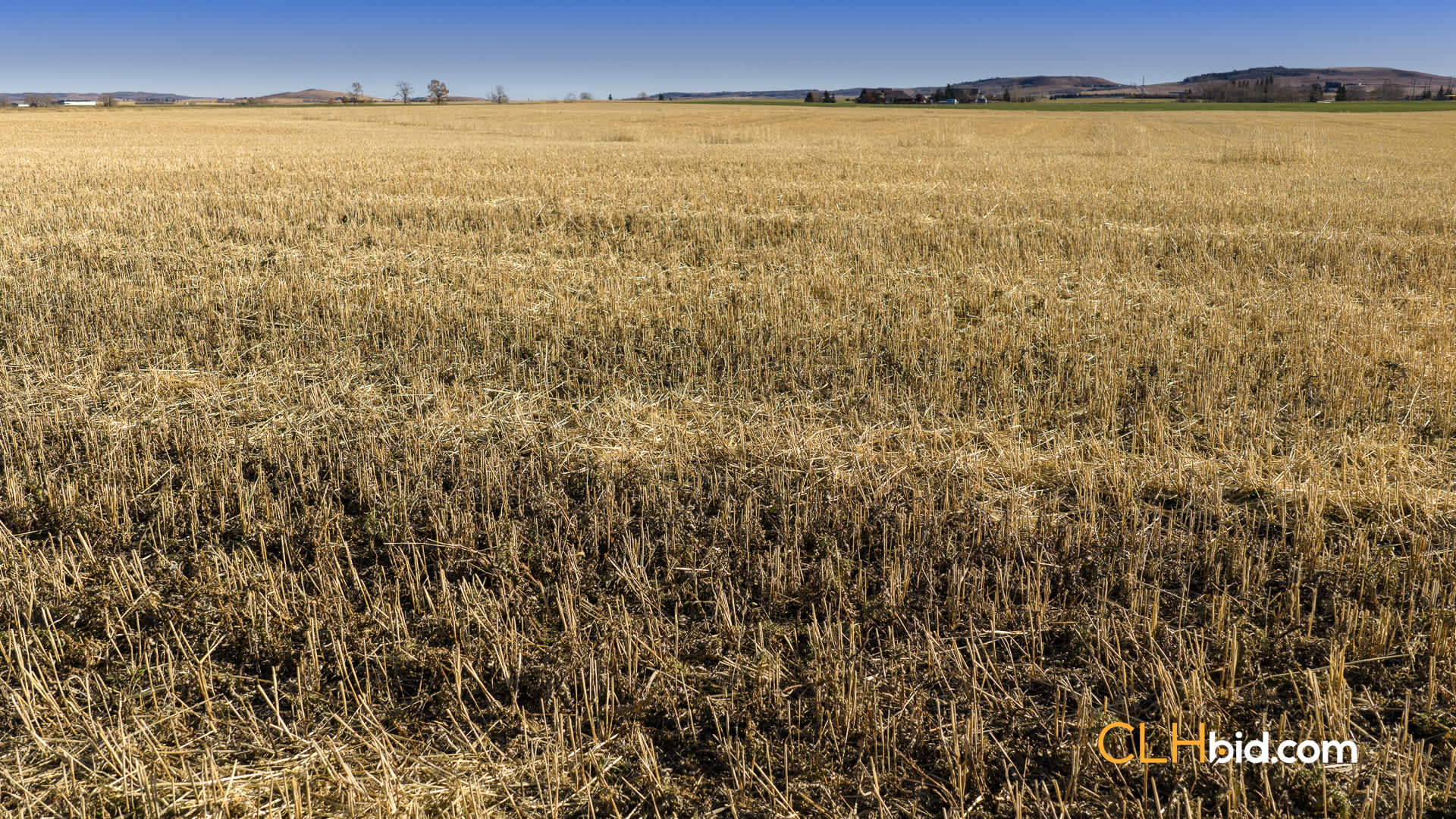Web-Foothills-11