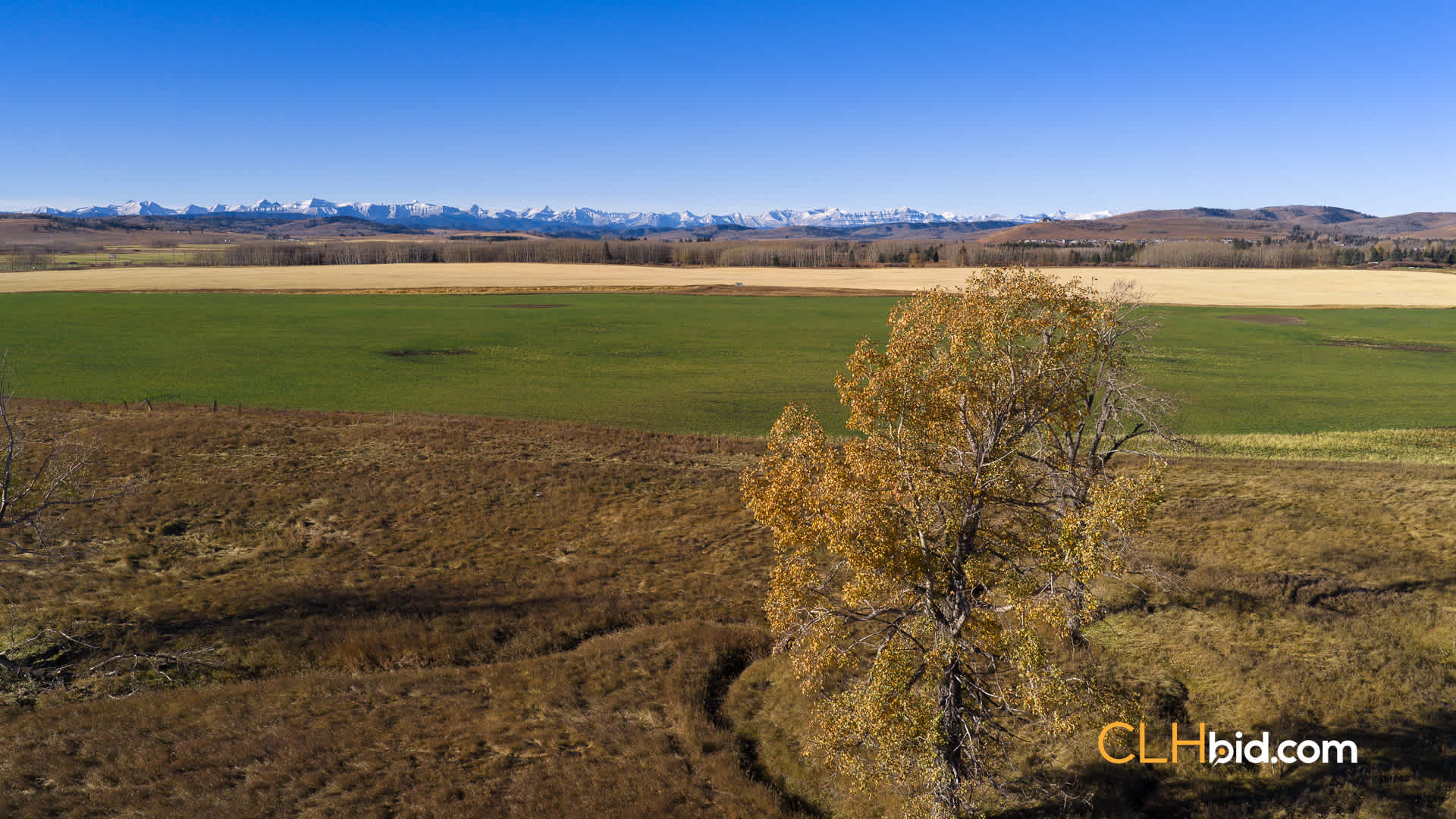 Web-Foothills-5