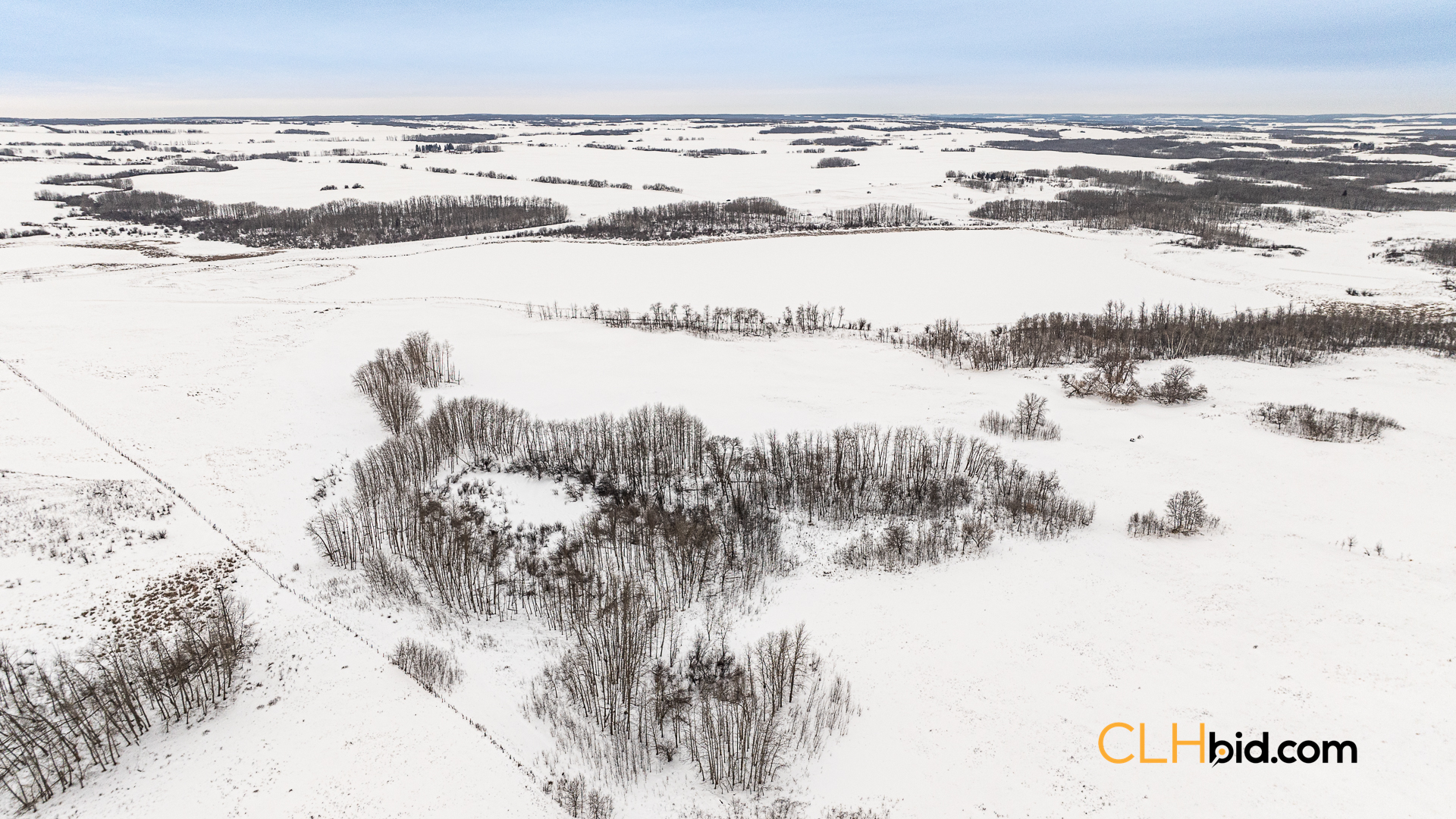 Web-GameOnInnisfree-6