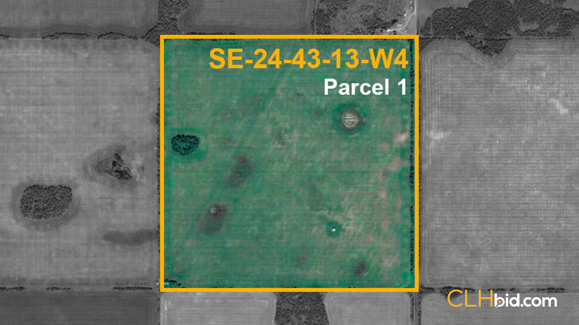 P1-Flagstaff-Honors-WIDE-Contentful