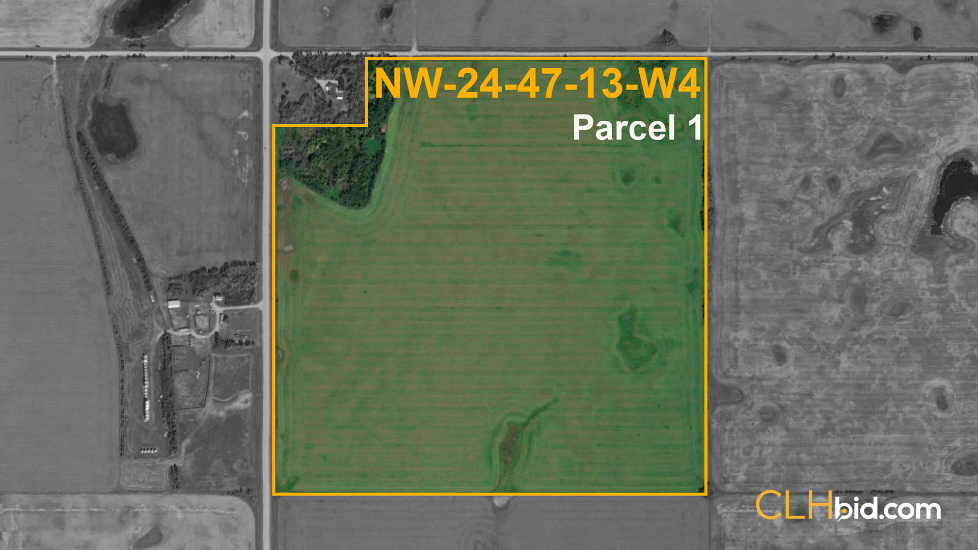 P1 NW-24 Viking Force WIDE