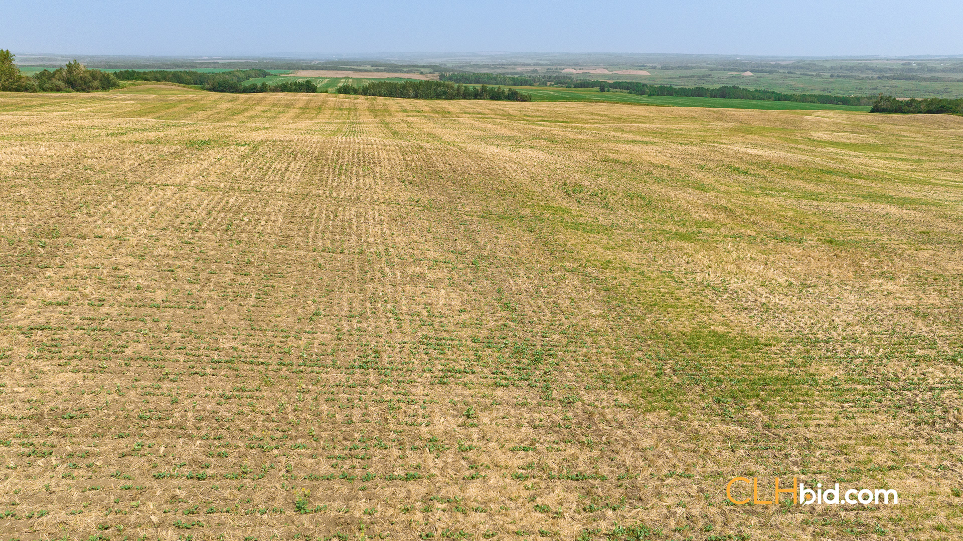 Web-Innisfree8Summer-41