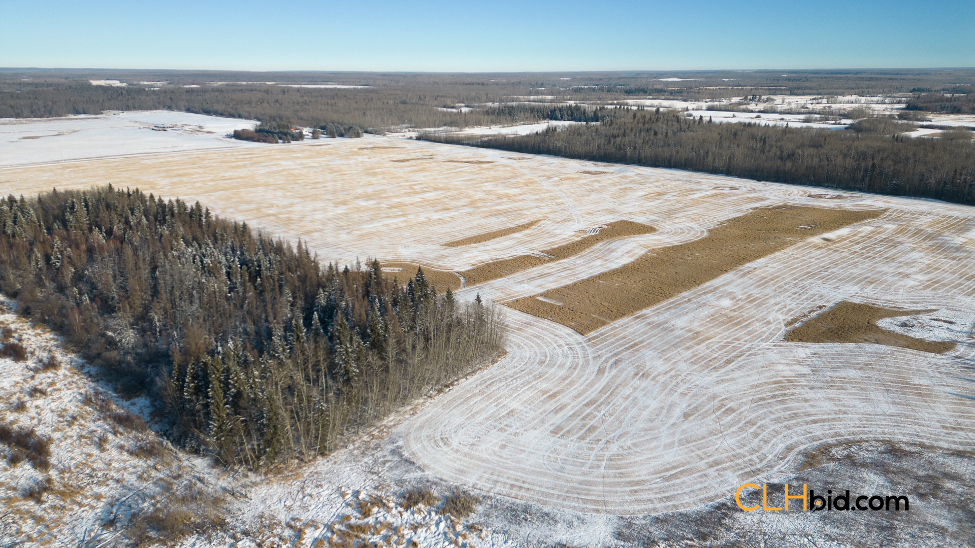 Web-ThorhildExpress-8