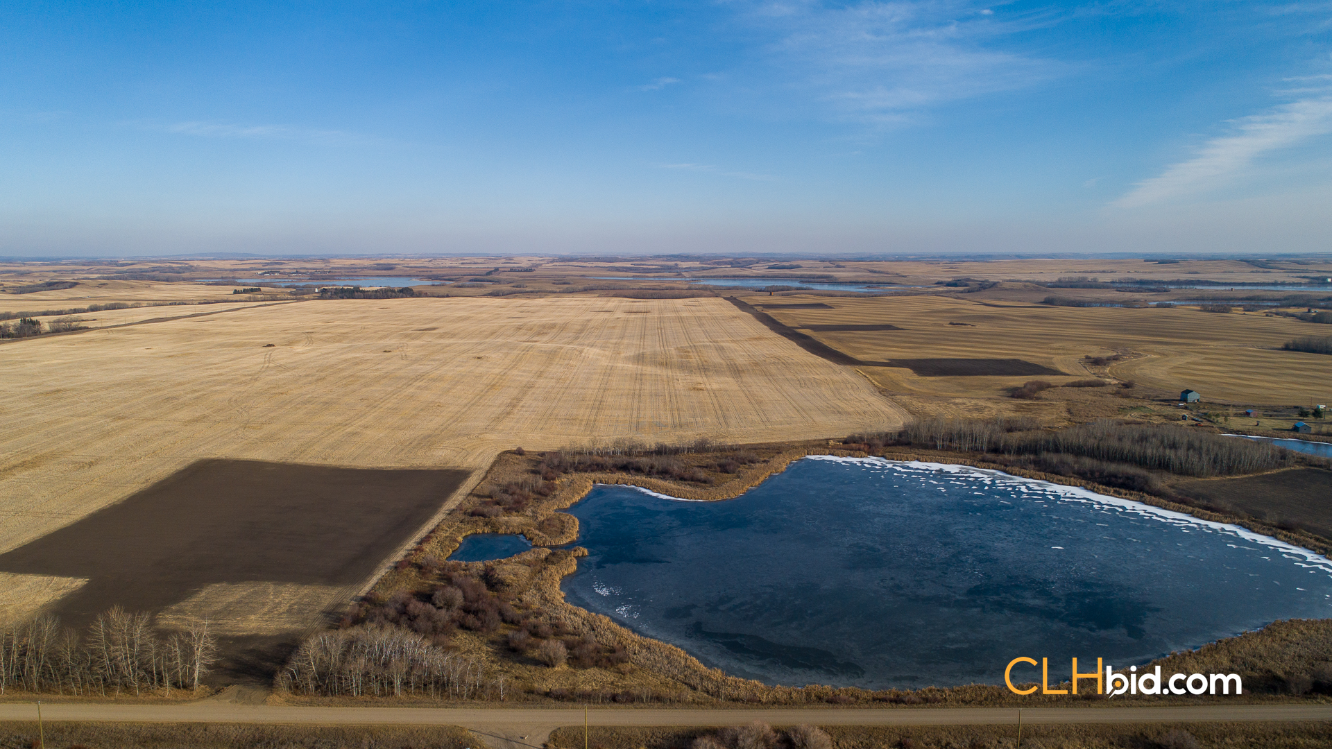 Web-Nine-Of-Diamonds-3