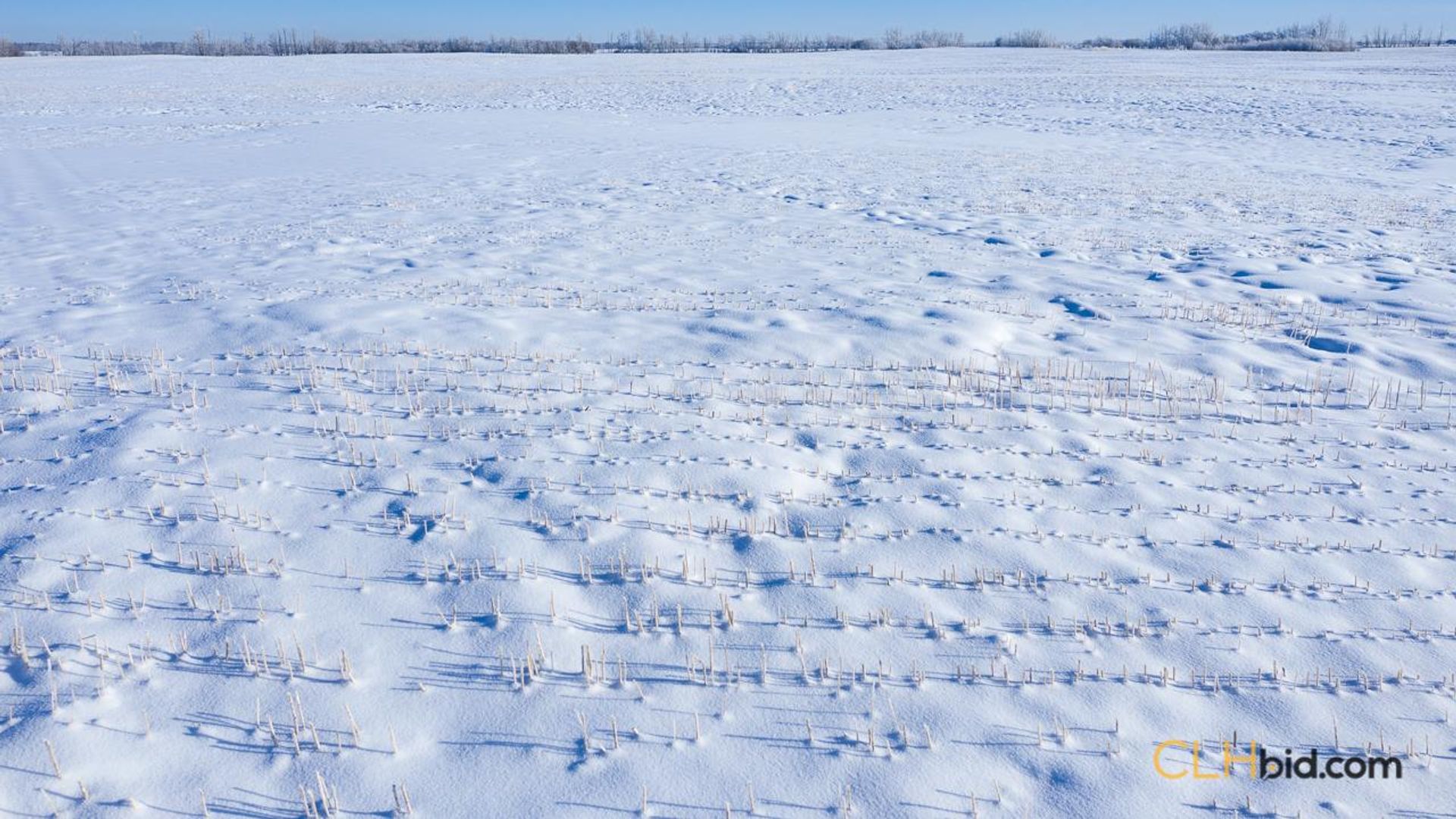 scotsmansdelight-1-6