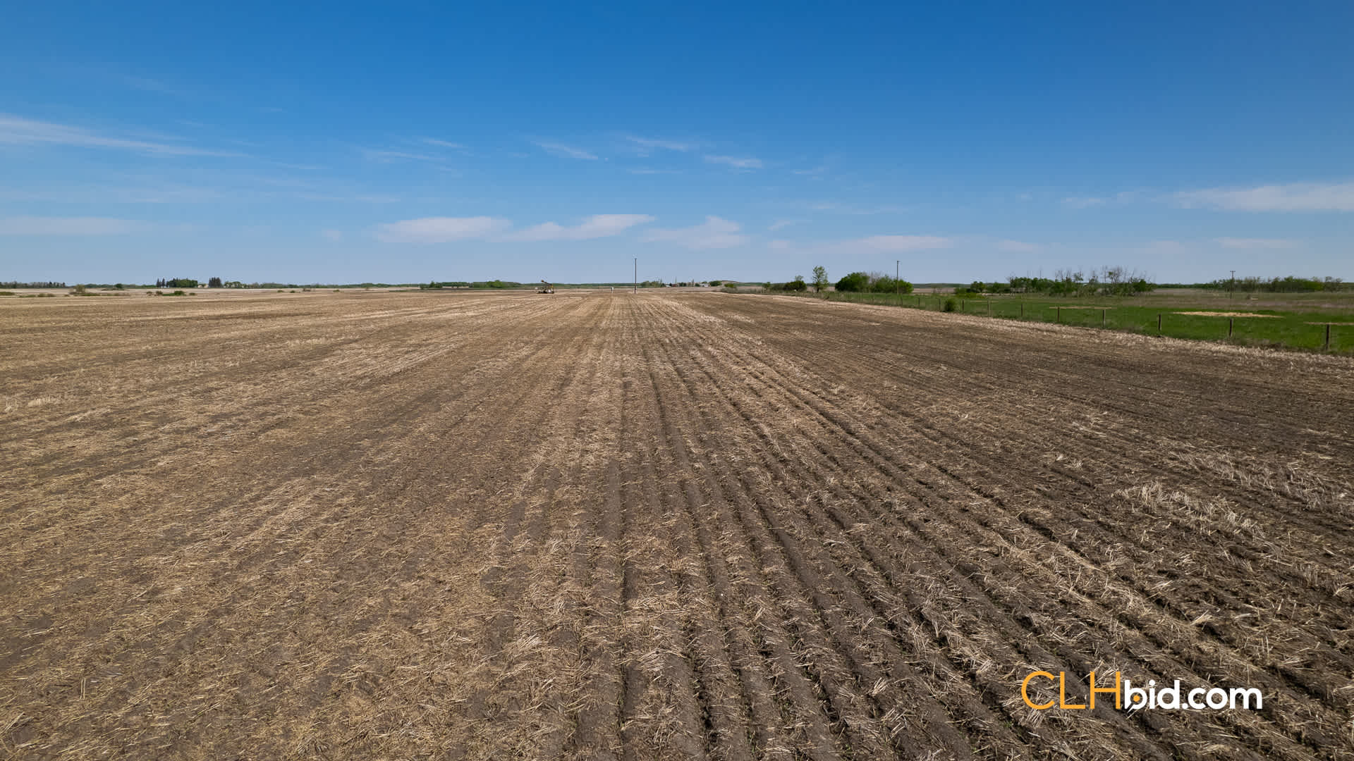Web-CashCrop-8