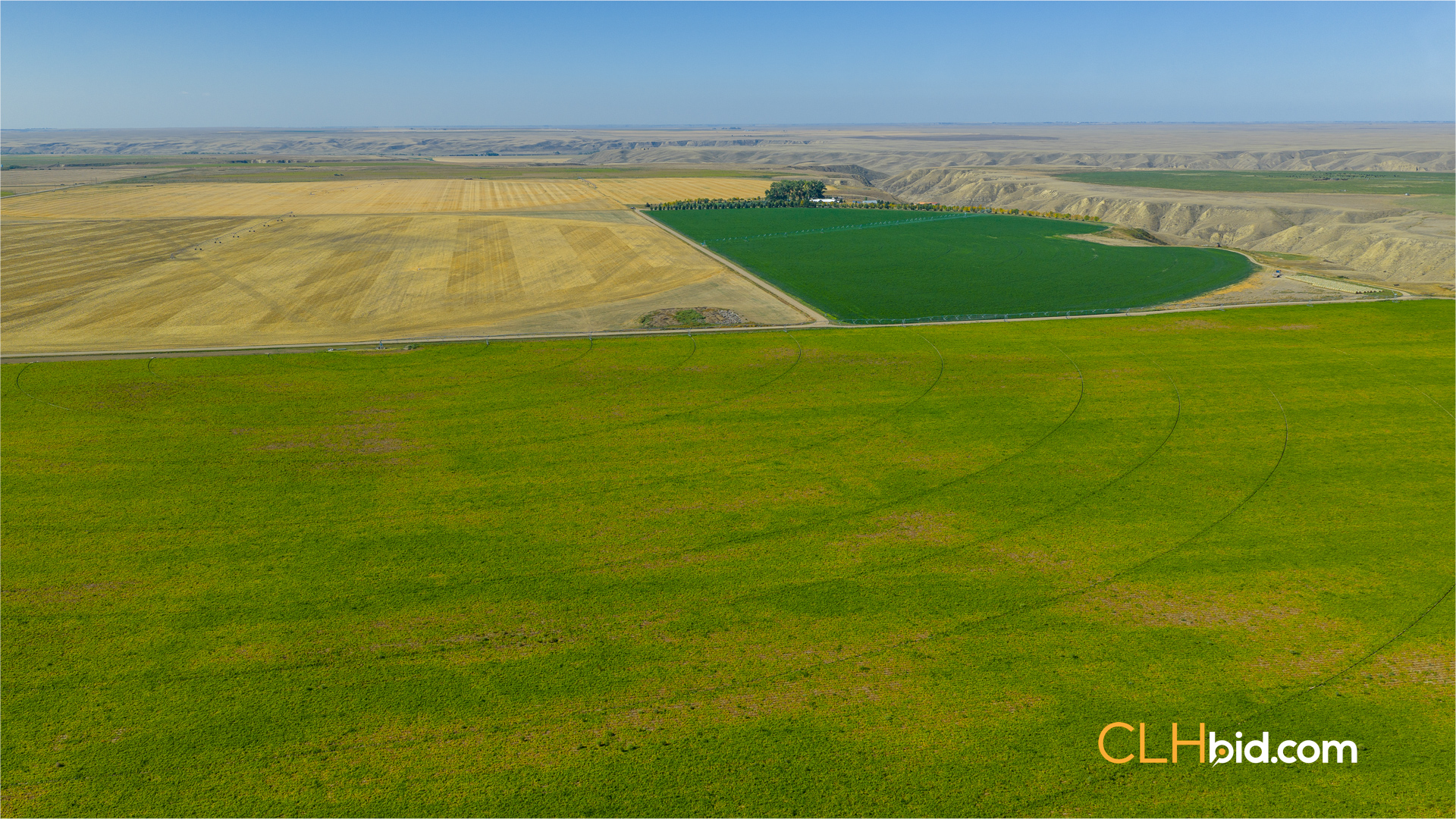 Web-MegaFortyMile-32