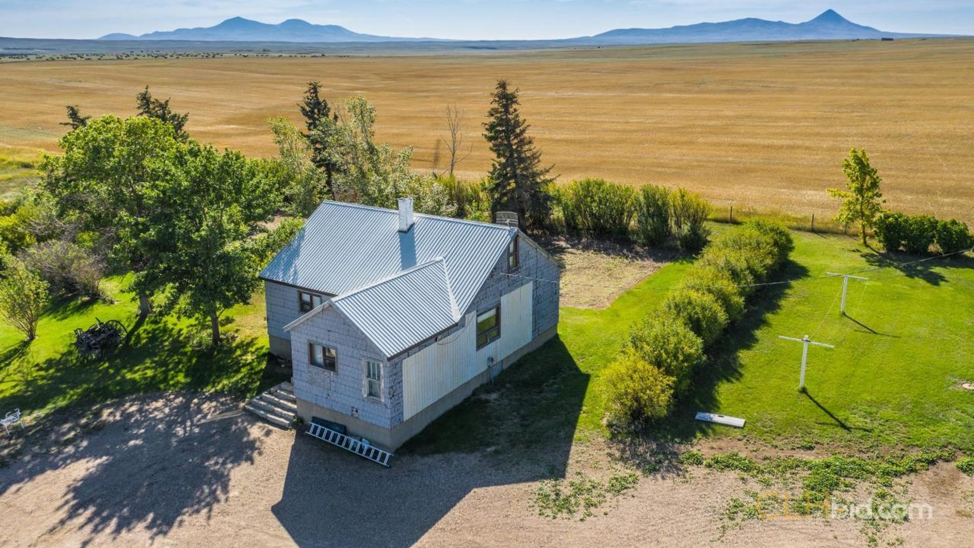 shadowsofthesweetgrasshills-1-5