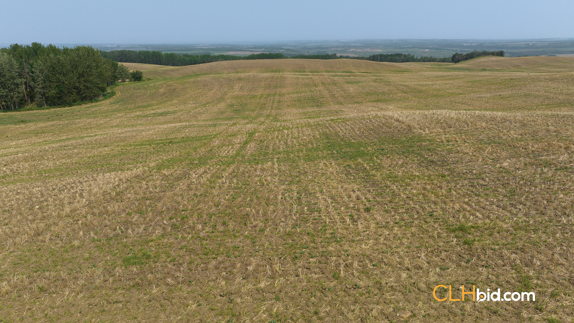 Web-Innisfree8Summer-26