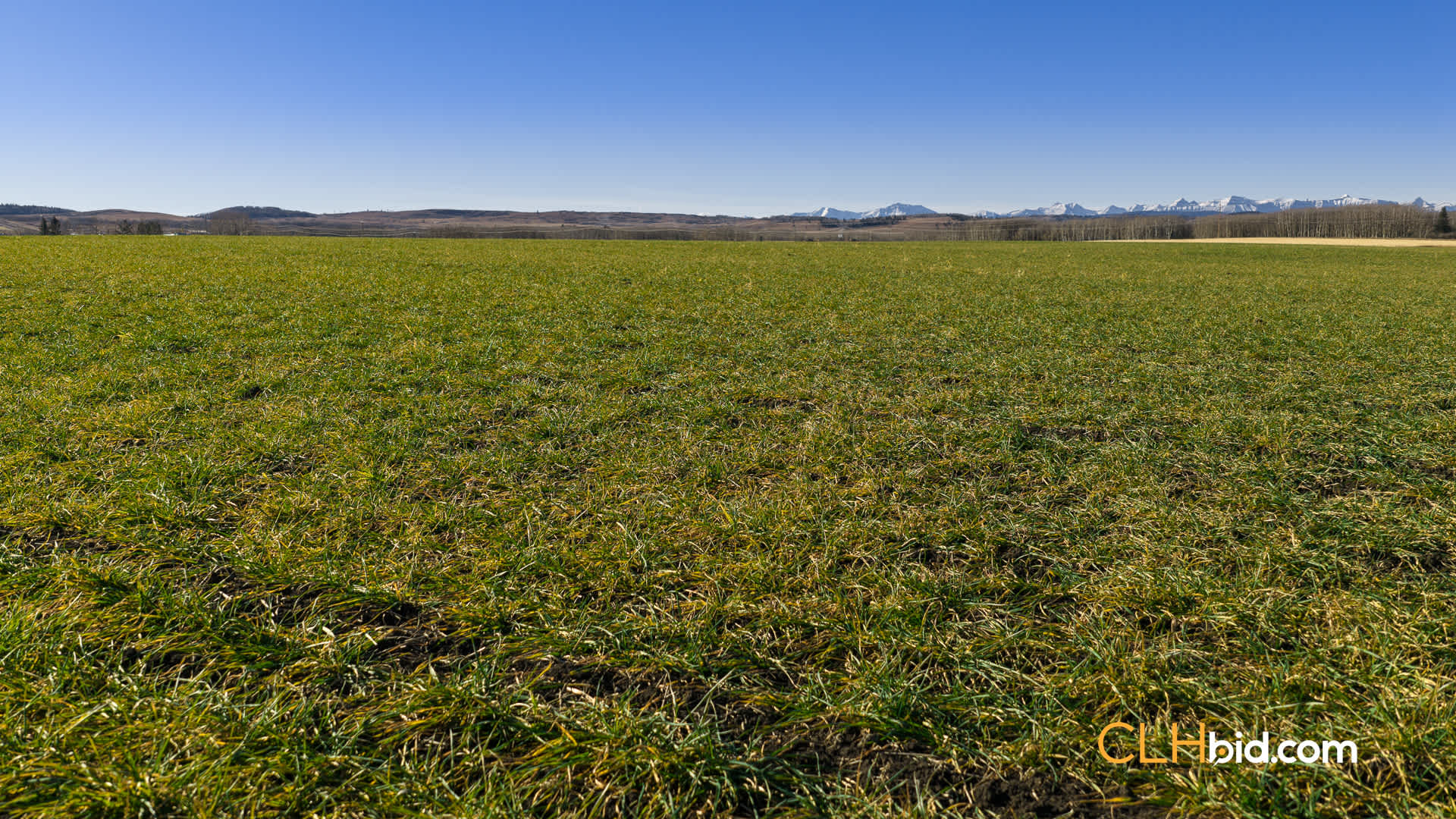 Web-Foothills-6