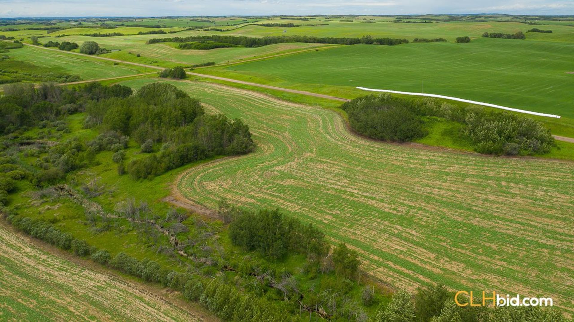 clandonaldcountrycousins-2-9