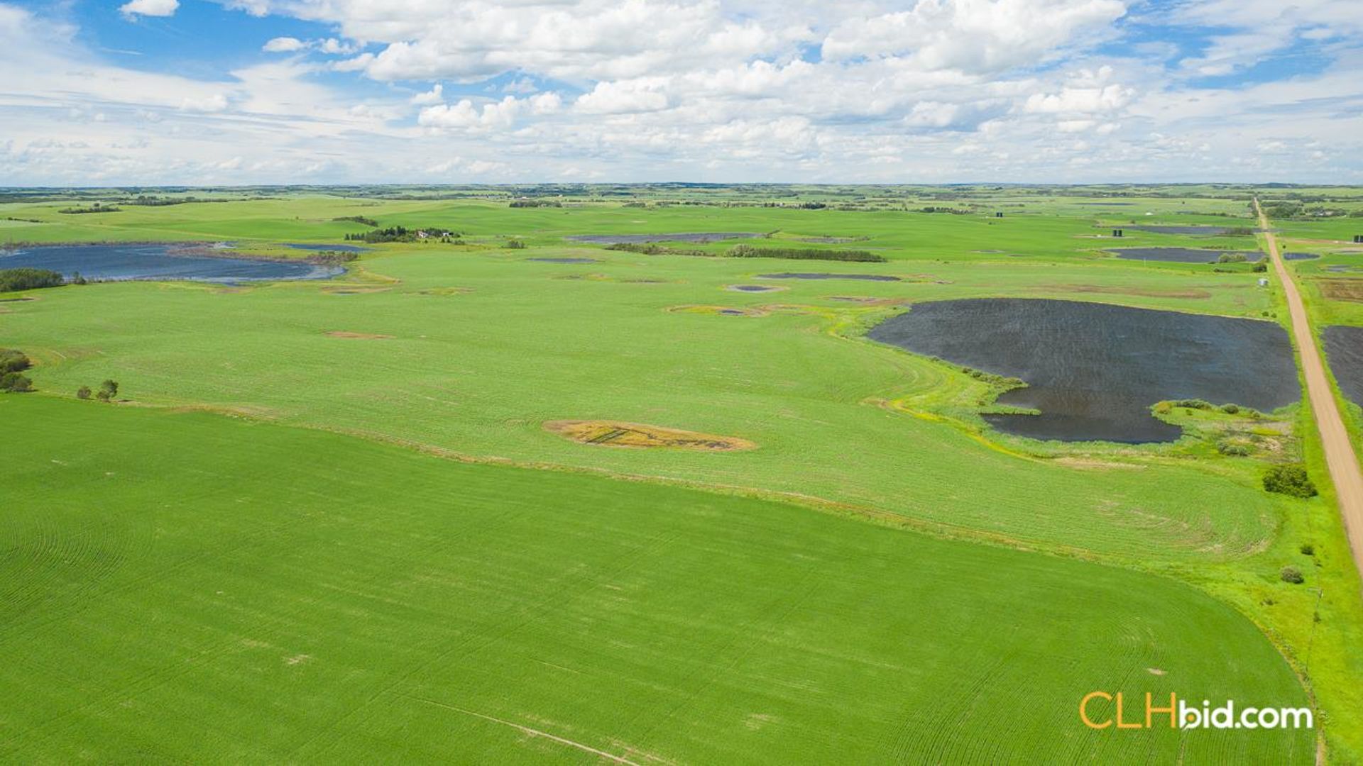 clandonaldcountrycousins-1-6