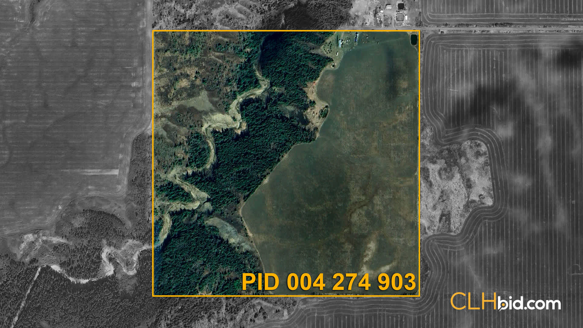 PID-004-274-903-RESIZED