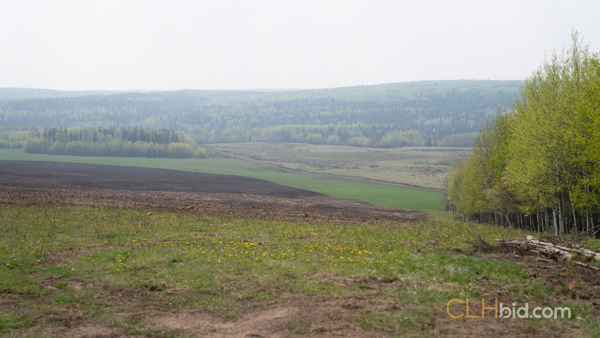 dustytrailsranch-1-2