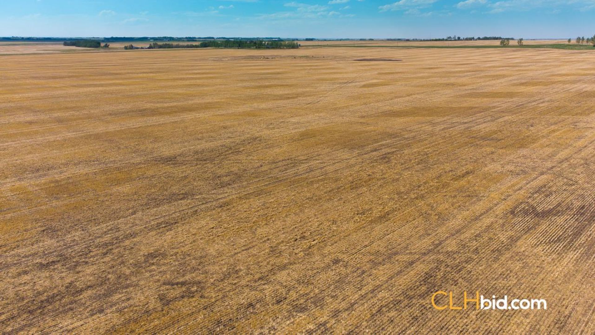 hartelllandrodeodrive-1-4