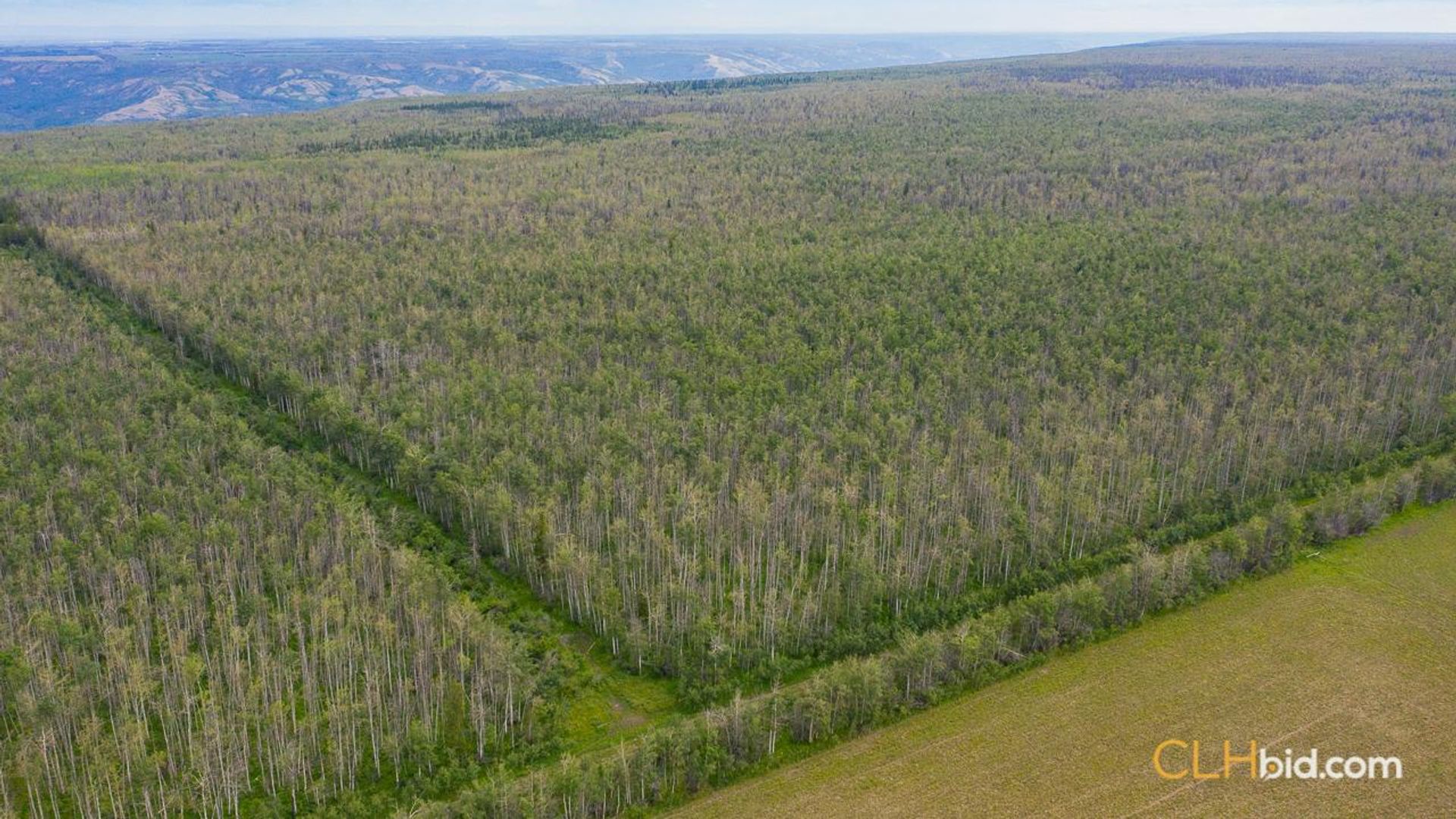 silvervalleydiamondintherough-6-2