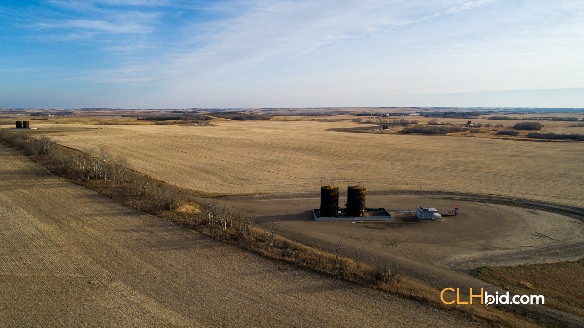 Web-Nine-Of-Diamonds-22