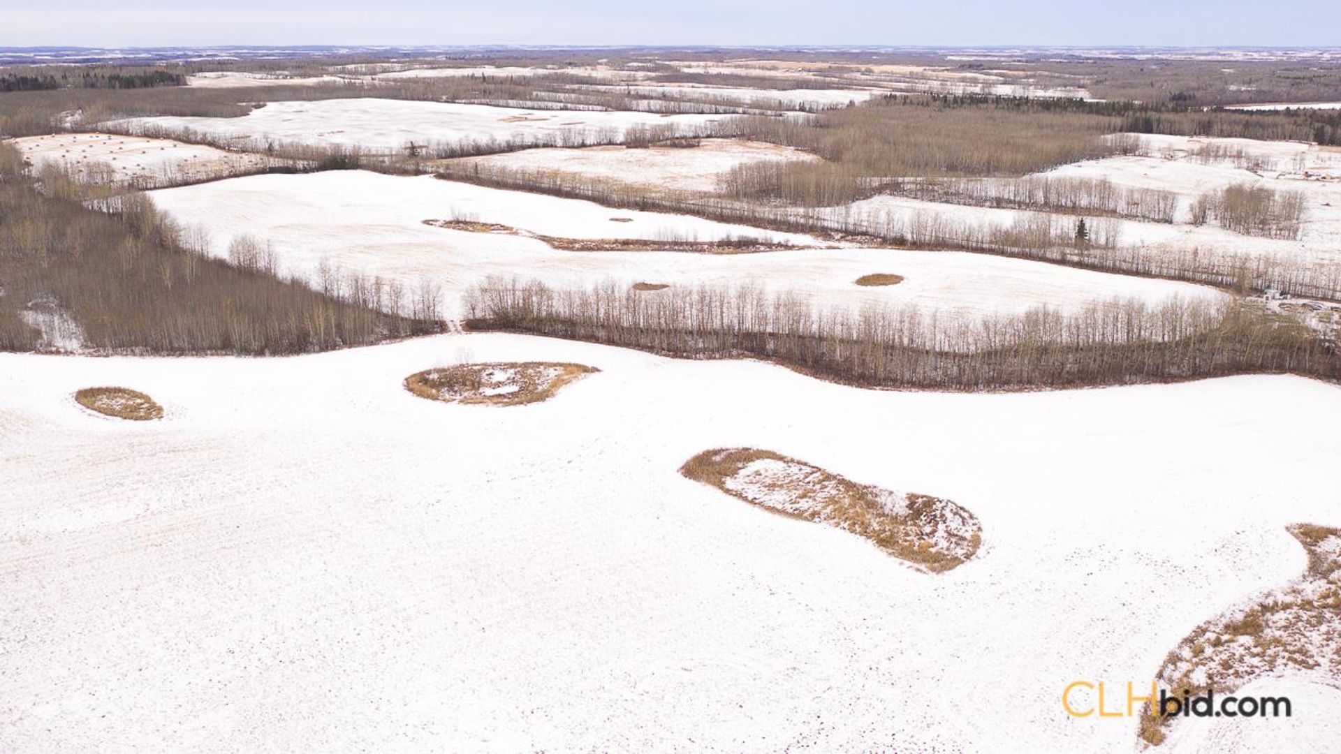 barrheadbigoptions-1-5